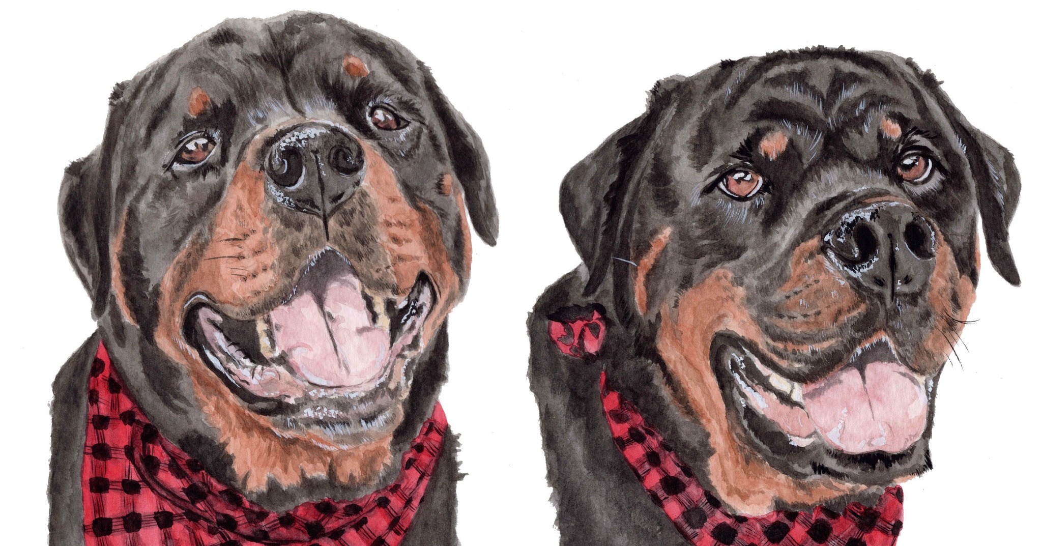 Does your pet have a special collar, bandana or coat they always wear? Did you know it can added to your custom watercolor pet portrait?? That way your painting is unmistakingly your pet! #petportrait #animalart #watercolorpainting #watercolor #customartwork