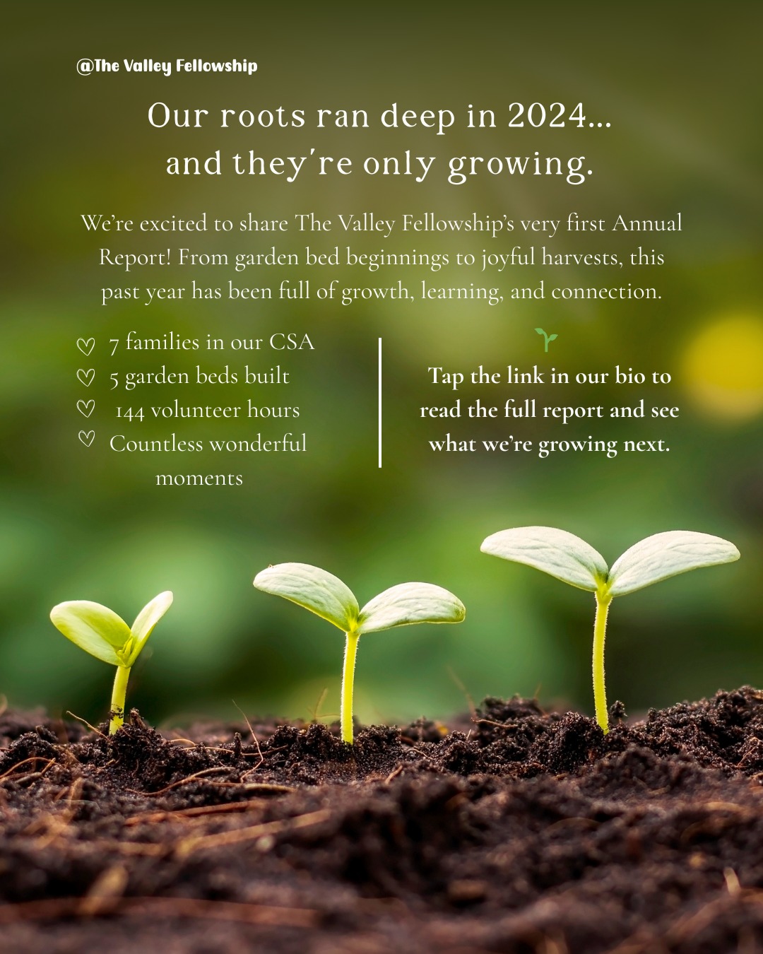 🌿 Our first season is in the books!
2024 was a year of roots, growth, and connection.
We’re proud to share our first Annual Report💚
Tap the link in our bio to see what we’ve grown together.
#TheValleyFellowship #AnnualReport #CommunityGarden #NatureBasedLearning #NonprofitLove #SullivanCountyNY
