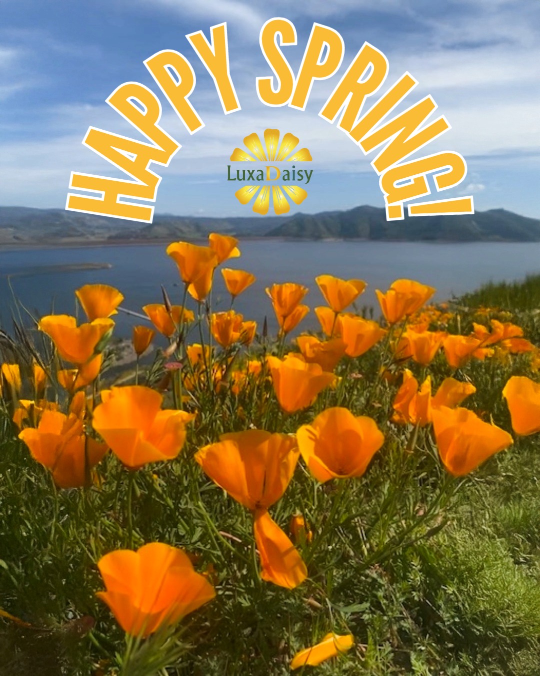 🌼 Happy Spring from LuxaDaisy! 🌼
The hills are alive with California poppies and fresh possibilities. Here’s your seasonal reminder to slow down, enjoy the green hills, breathe in the blooms, and soak in the sunshine. 🌞🌸
✨ Discover what’s blooming near you — new habits, local gems, and feel-good finds are just a click away.
#HappySpring #LuxaDaisyLiving #CaliforniaBloom #IntentionalLiving #WellnessInFullBloom #superbloom #Californiapoppies