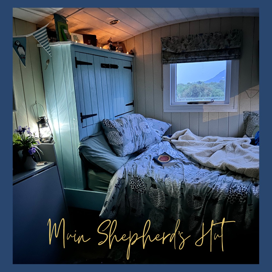 I allowed myself to get lost in the pages of a book on my recent self-care retreat. This cosy bed in my lovely wee shepherd's hut (Muin) was the perfect spot to curl up with a book. 📚 And the book that drew me in, slowed me down, and nourished my soul .....well, it was a surprising choice (for me).
'The Forty Rules of Love' was this month's book club selection for my meditation sangha. If I'm honest, I felt a bit 'sniffy' about the choice. I ended up loving it. I read it every day I was away, turned down countless pages, copied out favourite bits into my journal, and felt inspired to buy a book of Rumi's wisdom to read each morning before I meditate 🪷
There's something magical about losing yourself in a story amidst serene surroundings. But you don't have to be away on retreat, it's just a case of setting aside some time and finding a quiet, comfy place to sit.
So how about this coming week you take a break from all the doing, let yourself unwind, and allow the joy of reading elevate your soul? If you've read The Forty Rules of Love, let me know what you thought of it and if you're feeling inspired to read it, I'll happily lend you my copy 📚
#selfcare #selfcarematters #selfcareroutine #retreat #shepherdshut #ardnamurchan