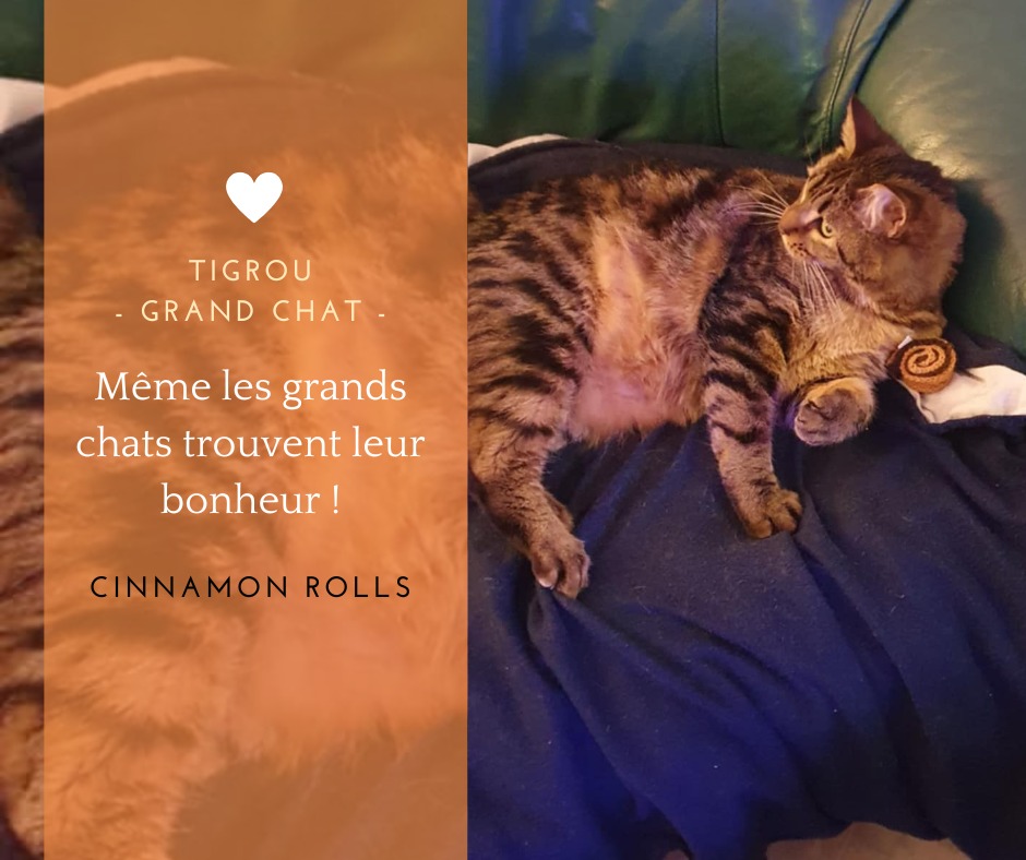 Le site de La Zouzoulerie a fait peau neuve !
Nouveau look, navigation plus fluide, des photos toutes fraîches, des infos à jour... le tout prêt à accueillir vos clics les plus enthousiastes 🥳