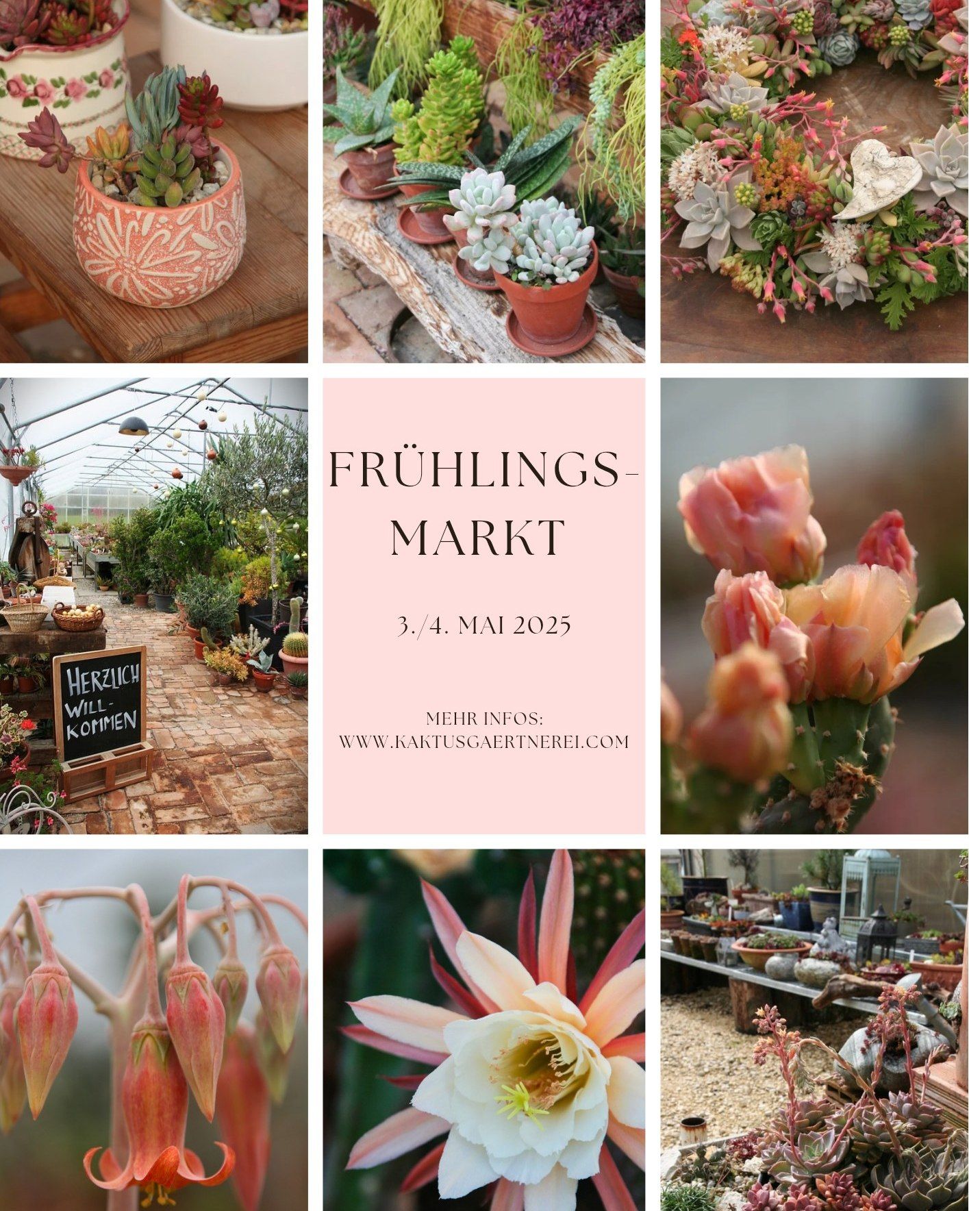Willkommen zu unserem Frühlingsmarkt in der Kaktusgärtnerei – Genuss und Inspiration in voller Blüte!
Reserviere dir die Tage: Samstag, 3. Mai 2025, von 10:00 bis 17:00 Uhr, und Sonntag, 4. Mai 2025, von 10:00 bis 17:00 Uhr. Verbringe ein unvergessliches Wochenende voller Genuss, kreativer Inspiration und einzigartiger Angebote!
Mehr Infos unter kaktusgaertnerei.com/maerkte
#markt #sukkulentengaertnerei #sukkulentenliebe