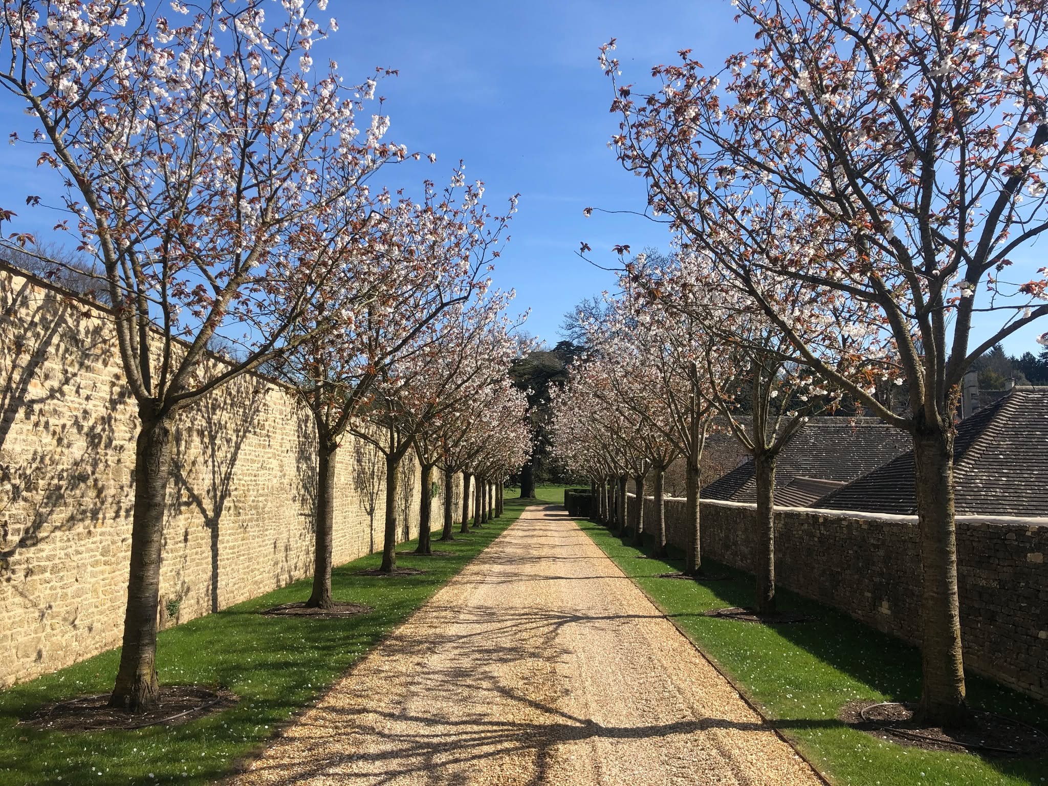 This pleasingly symmetrical entrance is in Bibury, one of the prettiest villages in the Cotswolds - it's well worth exploring beyond Arlington Row down the road. This image is a sort-off contribution to celebrating the joys of maths as per National Numeracy Day on 21 May.
DM to book a top tour.
#offbeatcotswolds #bluebadgeguide #bluebadgeguides
#britainsbestguides #Cotswolds #thecotswolds #bibury #arlingtonrow
#inthecotswolds #cotswoldcountry #Cotswolds_Culture #lovethecotswolds
#discoverthecotswolds #visitthecotswolds #discovercotswolds #cotswoldslife #cotswoldlife #thecotswolds
#your_cotswolds
#cotswolds #thecotswolds #cotswoldvillage #visitengland #englishvillage
#englishcountryside
#explore_britain_ #traveling_uk
#photosofengland #instabritain #europetravel