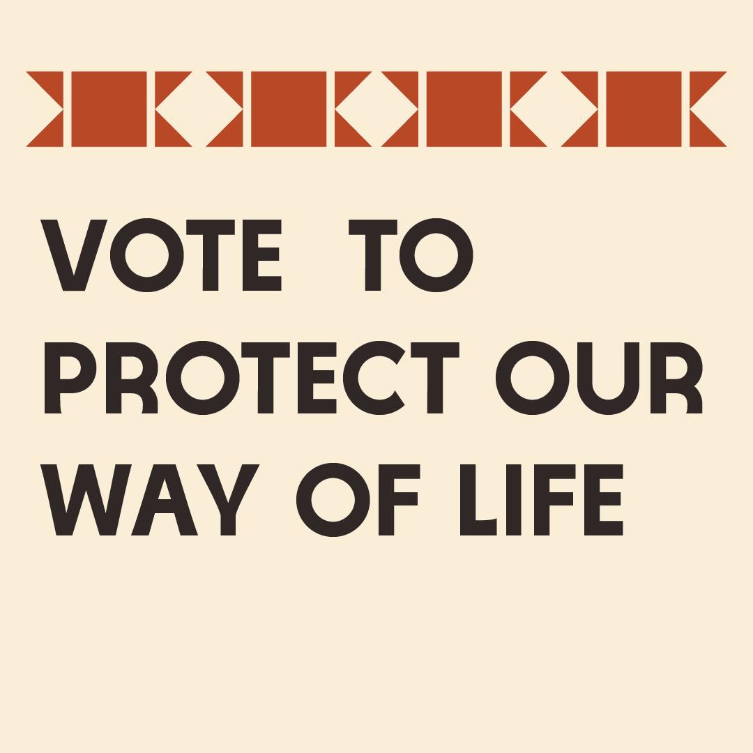We’re voting tomorrow!
Attention Minnesota Native communities! Tomorrow is the day we go out an make a difference! We have the power to decide what tomorrow looks like for our people. We have a responsibility to enforce the change we want to see around us. Let’s use the US elections as a tool to define a successful future for our children’s children.
#indigivote #minnesotanativevote