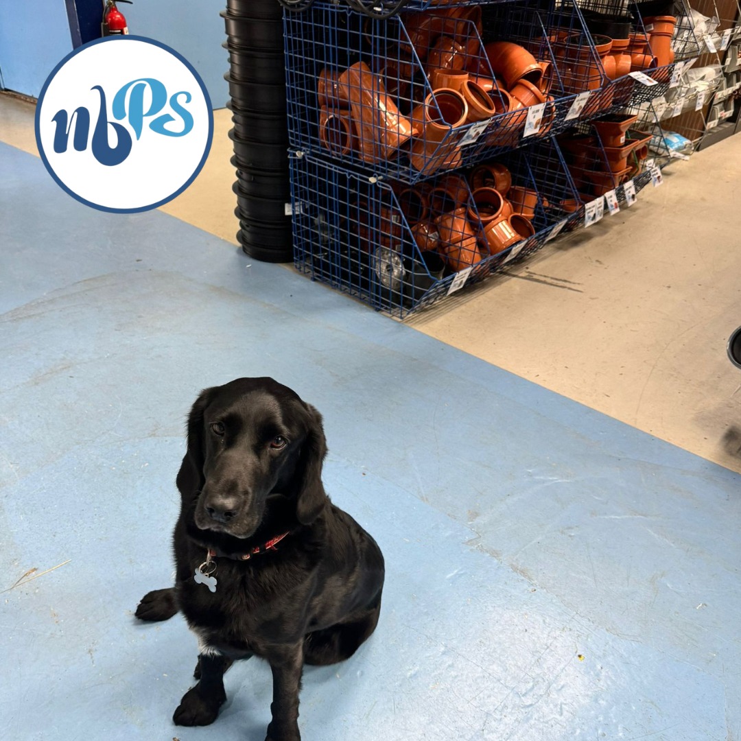 Our customers are great but we especially love their 4 legged friends. Pop in store and see us we are always happy to help!