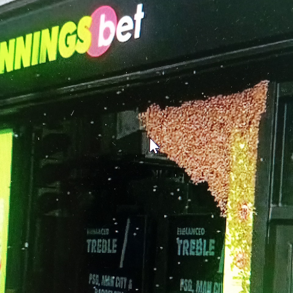 Yesterday we collected this swarm from Newbury Town Centre. It was pretty big!