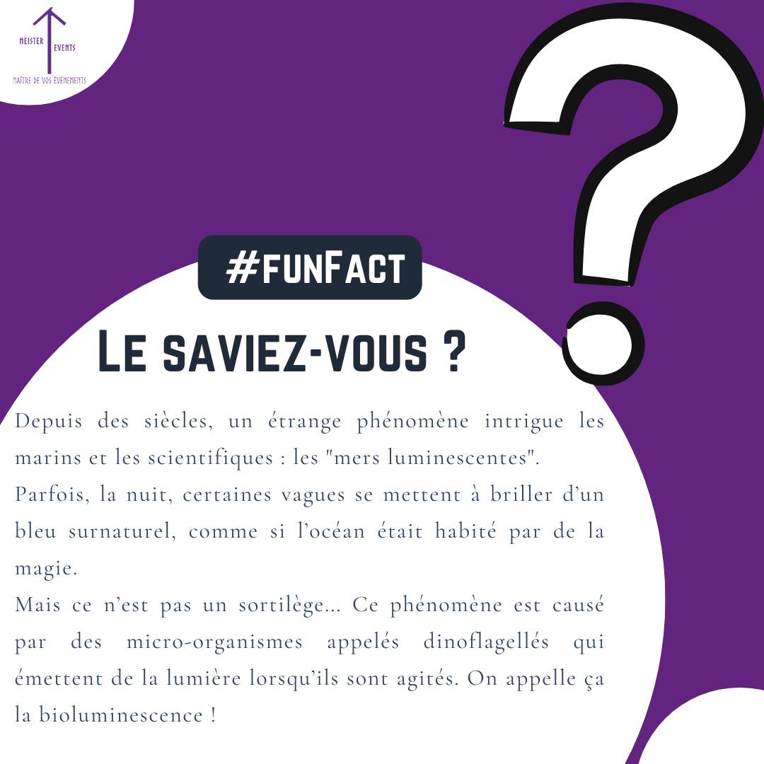 Qui a déjà eu la chance d'en voir ?