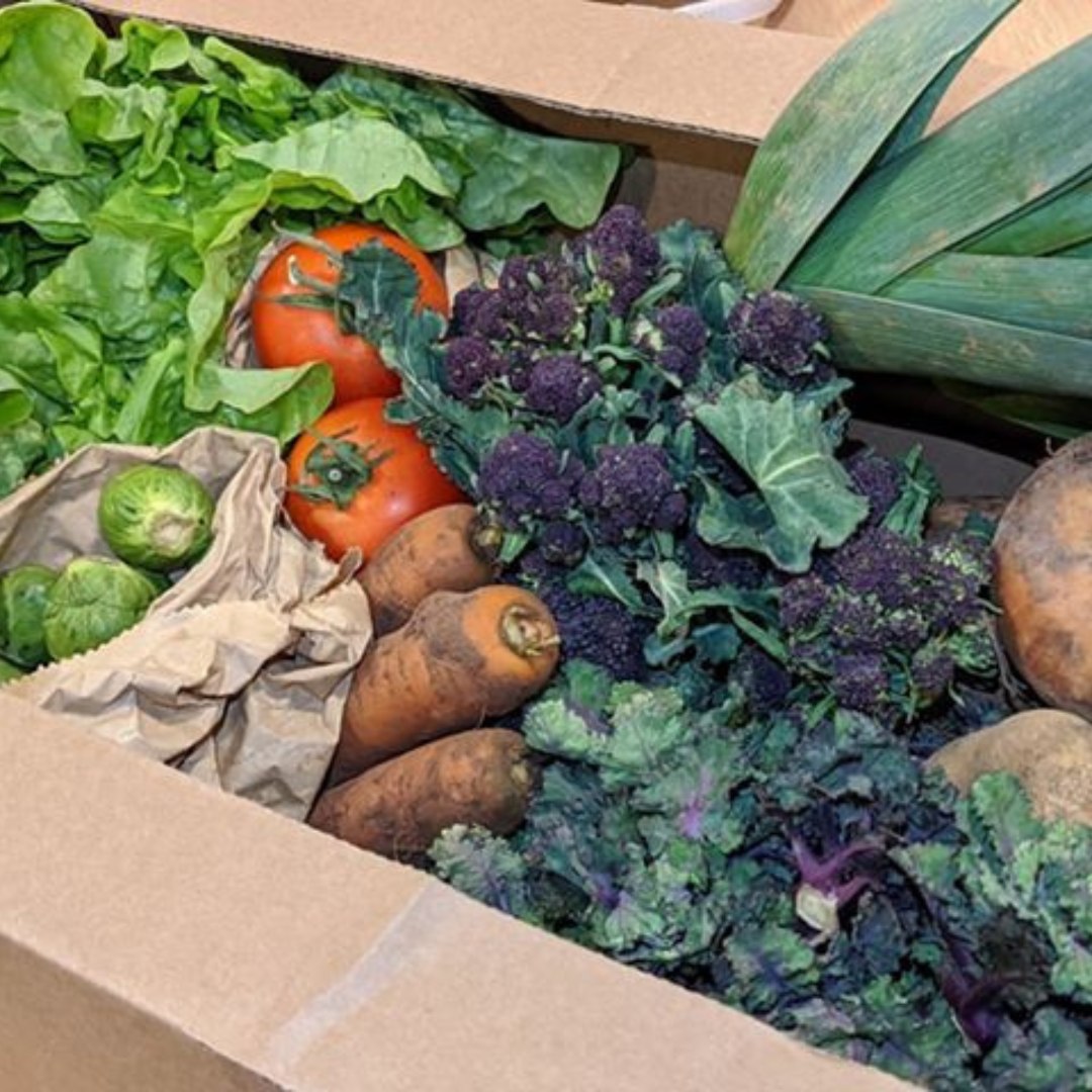 Your Fresh Start to the Week Begins Here 🥕🍎
It’s Sunday, the perfect time to set yourself up for a week of fresh, healthy meals with no hassle. Imagine having fresh fruit, vegetables, and free-range eggs delivered straight to your door, so you can focus on what matters most 🥗
At Mother Hen Eggs, we take the stress out of mealtime. Our farm-fresh eggs are laid just days before delivery, bringing you rich flavour and golden yolks, plus, our fresh produce boxes are packed with the best seasonal produce.
Whether it’s a busy workweek or family meals, we’ve got you covered with:
- Free delivery to Cardiff, Newport, Caerphilly, RCT, and the Vale of Glamorgan 🚚💨
- Flexible subscriptions to fit your needs, weekly, fortnightly, or monthly
- No fuss, no supermarket runs, just fresh, quality produce and eggs to your doorstep
- Here’s where we’re delivering this week:
Monday: Fairwater, Llandaff, Whitchurch, and more!
Tuesday: Caerphilly, Hengoed, Pontypridd, and more!
Wednesday: Bridgend, Cowbridge, Llantrisant, and more!
Thursday: Ely, Canton, Barry, and more!
Friday: Newport, Risca, Bettws, and more!
Take a minute, get your order in, and let us help you make your weekly shop easier, you’ll be all set for a week of delicious meals
How do you make your Sundays easy? Do you prep for the week or take it one day at a time? Let us know below, we’d love to hear from you! 👇