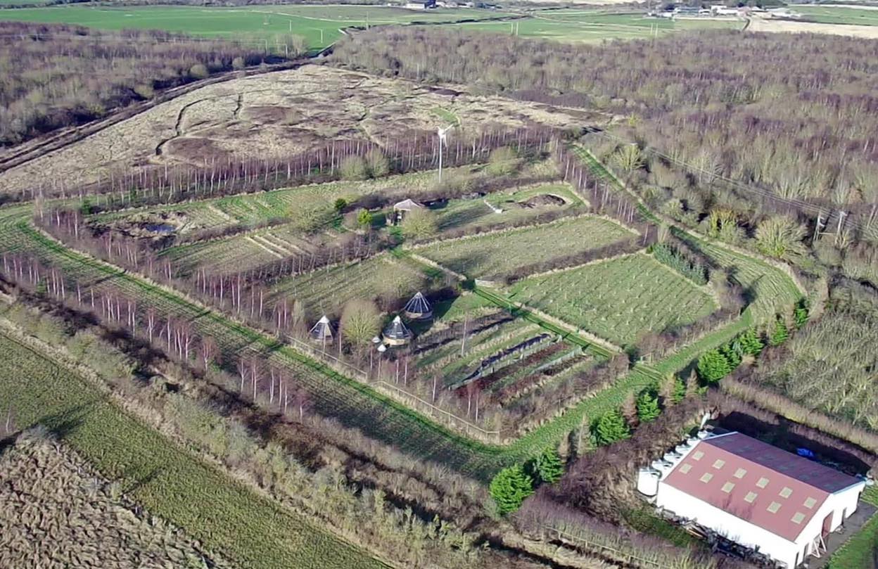 2025 is here and there is a lot to look forward to.
Before we look at what’s coming up, a quick reflection on 2024, which was quite a year!
We had monthly Moon Circles, Drum Circles, Sound Baths, Mindful Mornings, & Foraging Walks, then we had Willow Weaving, Wreath Making, Treasure Trails, School Visits, and Our First Vegan Mini-Eco-Festival, all rounded off with two days to Meet Santa.
It was a very wet year again and our harvests weren’t great.
But in spite of the weather we built our three wooden tee pees and a lovely oak gazebo in the meadows.
We traded and exhibited at a variety of Vegan Fairs, Vegan Festivals, Food Festivals, Rewilding Fairs, Wellbeing Fairs, Wedding Fairs, and Markets too.
It’s been full on, busy and we would like to say a Great Big Thank You to all our customers, visitors and everyone who has supported us this year.
Thank you on behalf of all our wildlife and all our students.
🎄♥️🍏💚🍎🎄
There is a lot more fun in store for 2025, starting out with the Annual Orchard Wassail on Saturday 18th January.
We have an All Inclusive Residential Wellbeing Retreat in May, and the Summer Solstice Weekend Festival in June.
You can head on over to the website to book onto these right now!
Then look out for the regular monthly events being added to the website over the next few weeks.
https://www.daltonmoorfarm.co.uk
https://www.cupoflife.co.uk
#HappyNewYear #wassail #retreat #wellbeingretreat #summerfestival #summersolstice #vegan #wholefoodplantbased #health #environment #animals