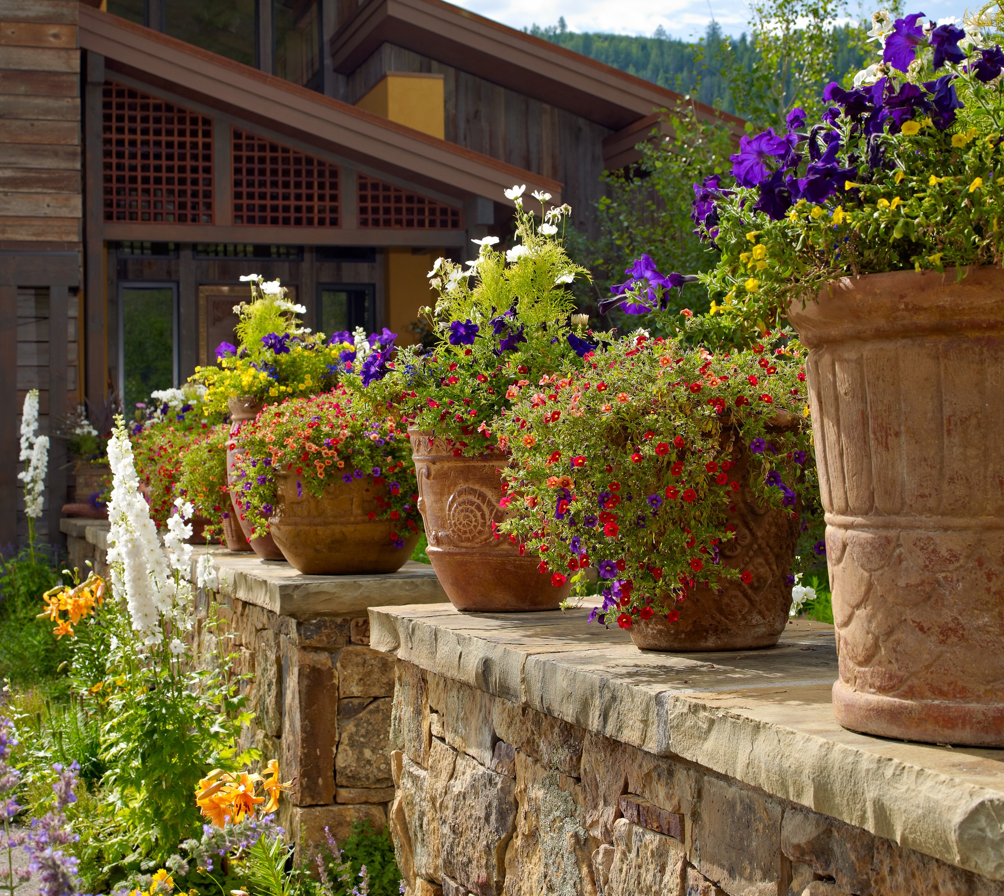 double the layers, double the impact. 🌿🪻
Artistic planters placed atop a stone veneer wall bring a second tier of vibrant blooms, adding color and dimension to the space. ✨
📸: @jasondewey
#FlowerDesign #NatureInDesign #OutdoorSpaces #landscapearchitecture #landscapedesign #landscape #gardendesign #outdoorliving #landscapelovers #landscapedesigner #gardening #nature #plants #gardeninspiration #gardens #flowers #art #landscapefirst
