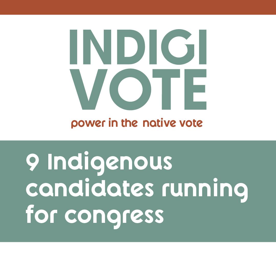 Get out & vote! Your voice matters. #indigivote