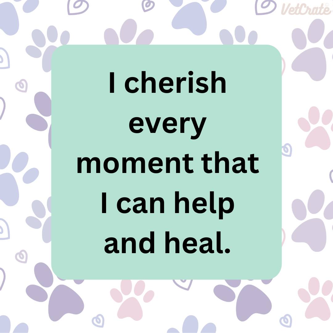 #petcarebusiness #petcareprofessionals #veterinaryprofessionals #petcareprovider #vetnurse #vettechsofinstagram #vetmedicine #vetmedworld