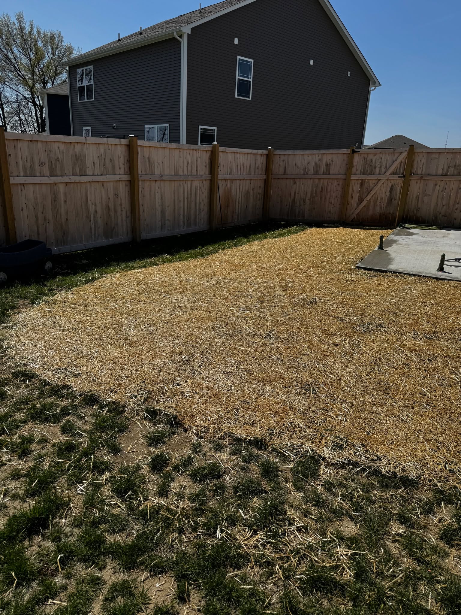 Have you had a concrete install completed recently but the yard is in need of help? Norman's can help!
Yard restoration isn't always included in concrete work but at Norman's we can bring in high quality top soil, grade appropriately and seed/straw mat (NOT LOOSE STRAW!) to ensure a beautiful lawn is in your future.
Contact us today! 317.408.1687