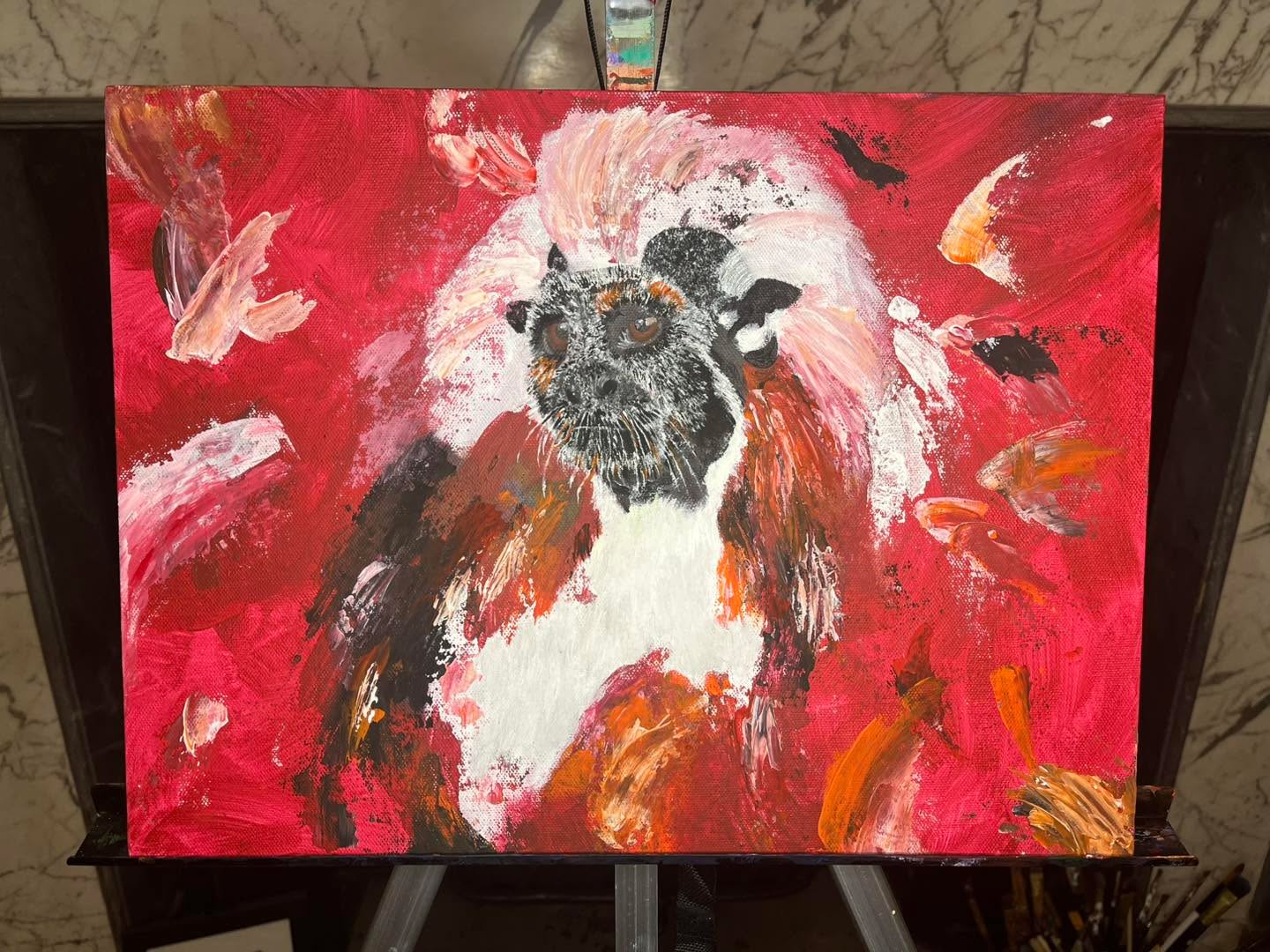 My Cotton Top Tamarin is complete 🤩 #cottontoptamarin