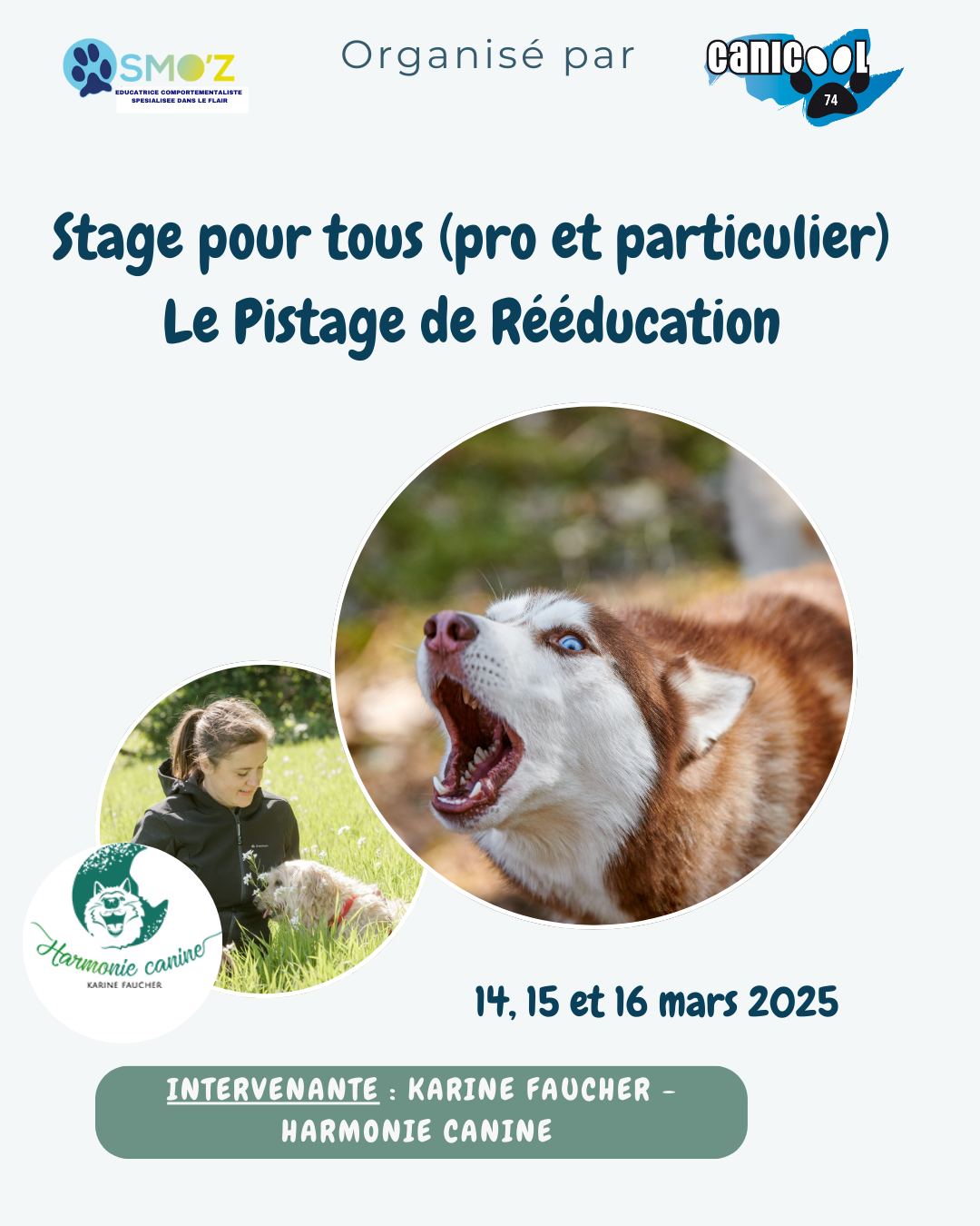 Rencontrez Karine Faucher d'Harmonie Canine pour ce super stage organisé sur le bassin annécien !
3 jours pour découvrir des outils lié au flair pour aider tous les chiens sensibles, réactifs, stressés...
Plus d'infos sur le lien en bio !
#comportementalistecanin74 #éducationcaninepositive #Annecy #huntinggames #comportementalistechien #éducateurcanin #activitéchien #détectioncanine #caniflair #accompagnementprofessionnel #accompagnementbienveillant #nosework #bienêtrechien #dogenjoylife #ecouterlesemotions #comportementchien #réactivitécongénère #communicationchienhumain #complicitechienhumain #chienheureuxmaitreheureux