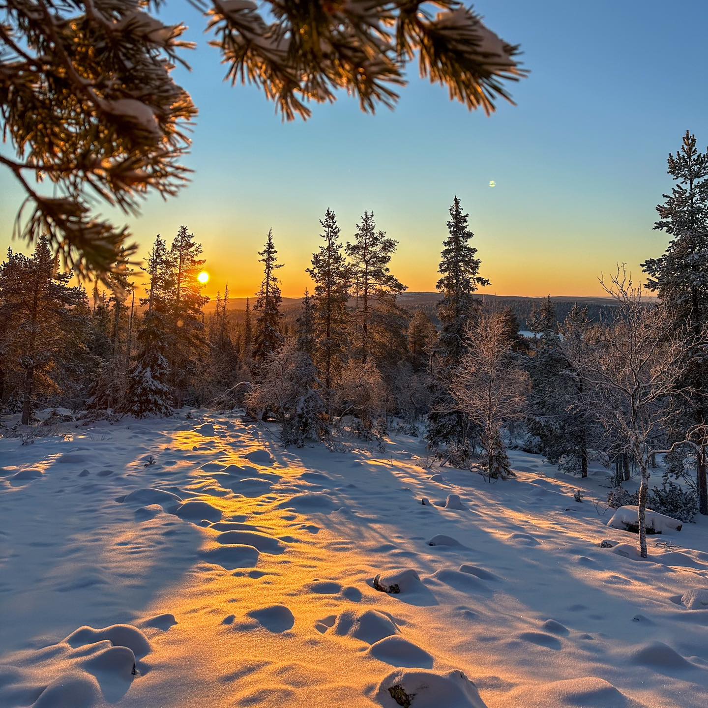 Marraskuu 🧡
🇬🇧 November 🧡
HOX! Osta liikuntaeduilla ennakkoon talvelle yksityisopetuksena maastohiihtokoulua. Meillä käy kaikki yleisimmät liikuntaetuudet. Laita meille sähköpostia tai soita. Yhteystiedot löydät biosta tai nettisivuiltamme. ❄️
#sisuoutdoor #sisukkaastiseikkaillen #crosscountryskiing #maastohiihto #visityllas