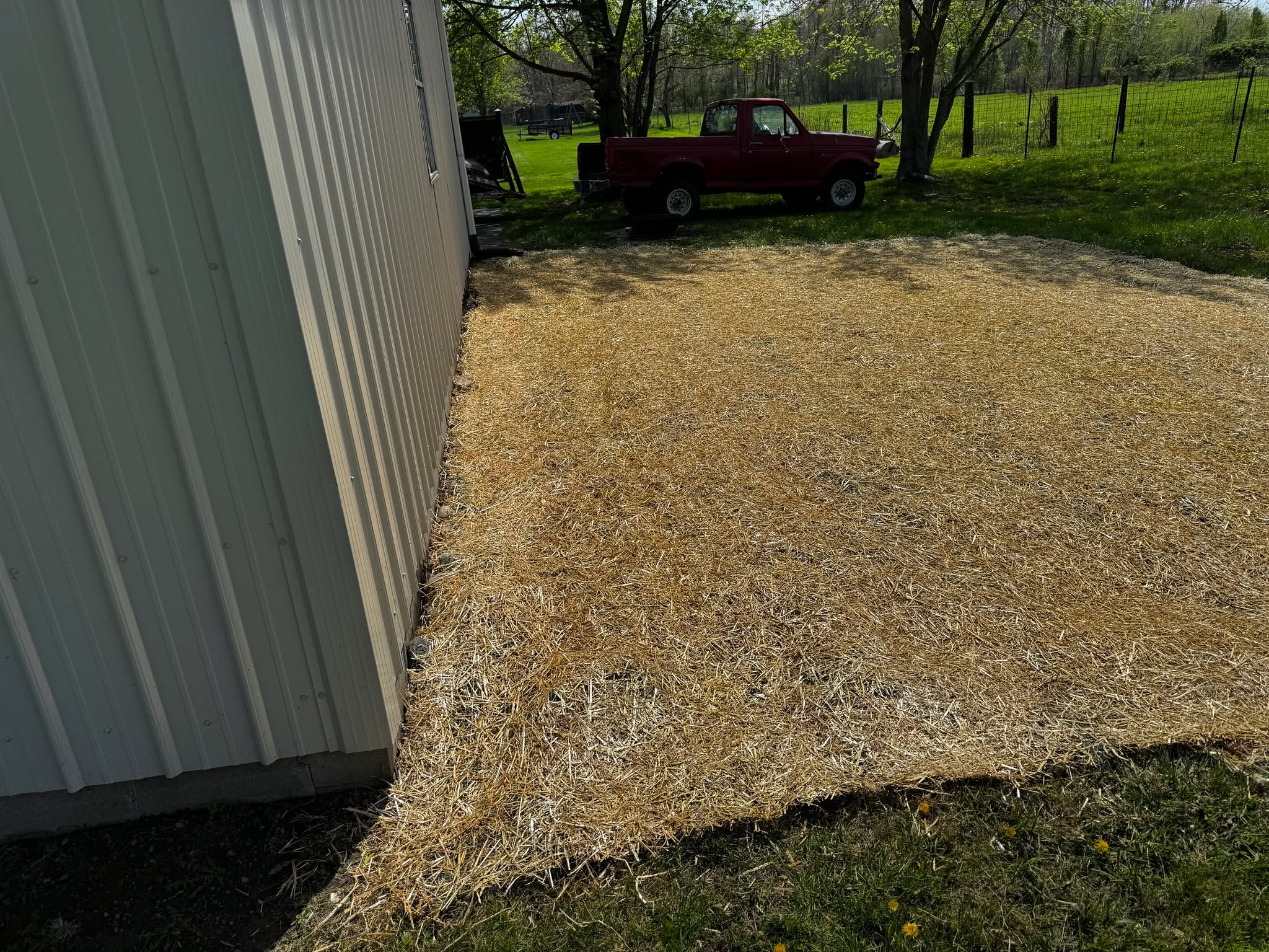 More dirt work for Norman's this week!
š± Thinking about seeding a new lawn or need to repair some trouble areas? Hereās why straw mat beats loose straw every time:
ā
Better Seed Protection: Straw mats keep your seeds securely in place, so they don't blow away in the wind or wash out during rainstorms.
ā
Even Coverage: Unlike loose straw, mats provide a consistent layer across your whole lawnāno patchy spots!
ā
Faster Germination: Mats help retain moisture and warmth, creating the perfect environment for seeds to sprout quickly.
ā
Cleaner Look: No messy, scattered straw to clean up later. Mats stay neat and eventually break down naturally.
ā
Erosion Control: Sloped yard? No problem. Mats hold soil and seed together, preventing runoff.
If you want a lush, green lawn without the headache, straw mat is the way to go! šæ
#LawnCare #SeedingTips #StrawMat #GreenerGrass