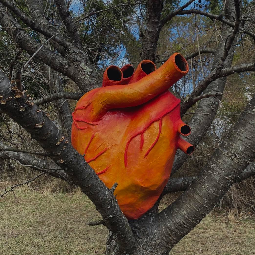 Halestone is preparing for our annual spring production! This year, we’re heading to Boxerwood Nature Center to bring you a site specific show that follows characters linked to the region through music, cultural traditions, or the landscapes that define this unique place.
Stay tuned for more details about our upcoming production on May 9th and 10th!
Prop Design: Owen Collins and Jimmy Stewart
#halestone #halestonedancestudio #anyoneandeveryonecandance #communityinmotion #rockbridgecountyva #lexingtonva #buenavistava #appalachia #sitespecific #SiteSpecific #sitespecificdance #springrecital #dancerecital #dance #pro #danceproduction