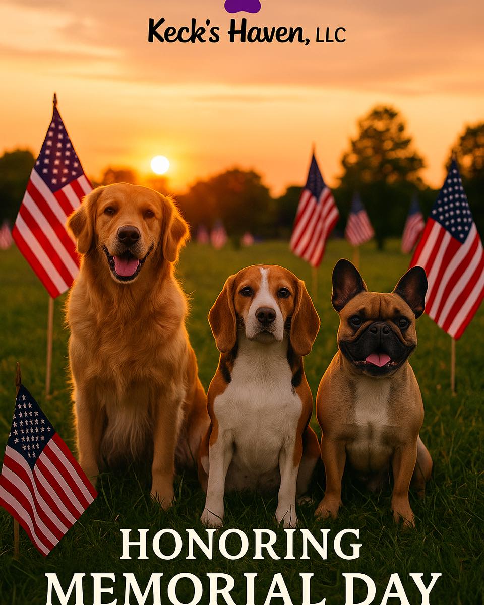 This Memorial Day, we pause to honor and remember the brave men and women who gave their lives in service to our country.
At Keckās Haven, our hearts are filled with gratitude for their sacrificeāand we stand united in remembrance, alongside the loyal pets who bring comfort, love, and healing every day.
As flags wave and paws patter, we reflect on the freedoms we enjoy because of the courage of so many. Today, we remember. Today, we give thanks.
Wishing you a peaceful and meaningful Memorial Day.
#MemorialDay #KecksHaven #HonorAndRemember #PatrioticPaws #GratefulNation