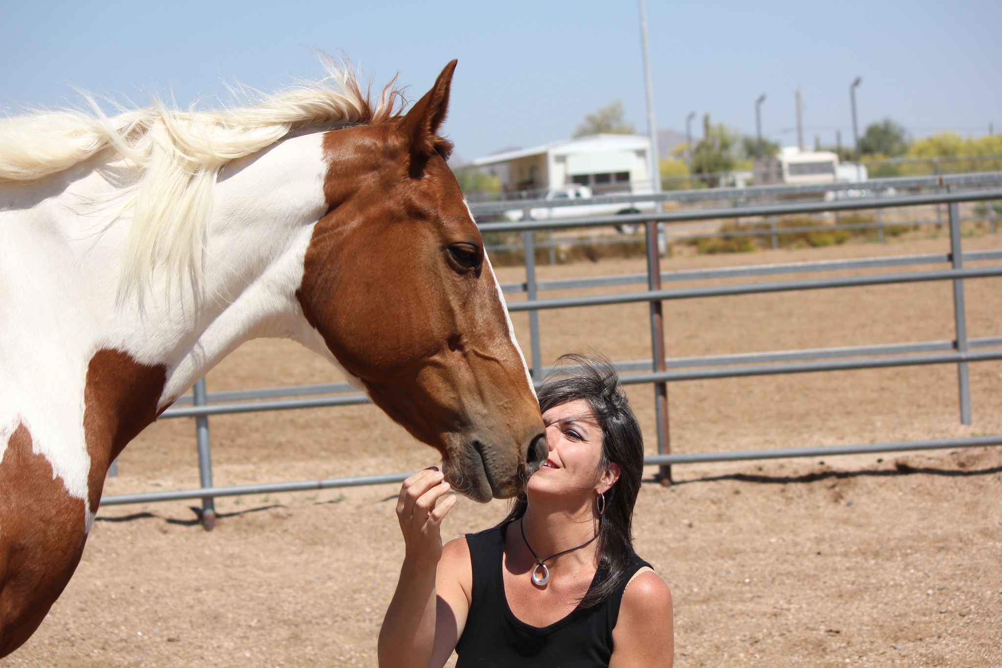 Ever dream of talking with your animals? And not just talk to them, because you likely already do. What if you could hear and understand them?
Dive into a step-by-step journey to unlock your natural ability to communicate with animals.
Ready? We start May 28!!!
Learn more at https://www.dianagogan.com/animal-communication-class
It’s not magic. It’s connection. And it’s already within you. Join us and enjoy the conversations!
#AnimalCommunication #AwakenYourIntuition #ConnectedLiving #DianaGoganCoaching