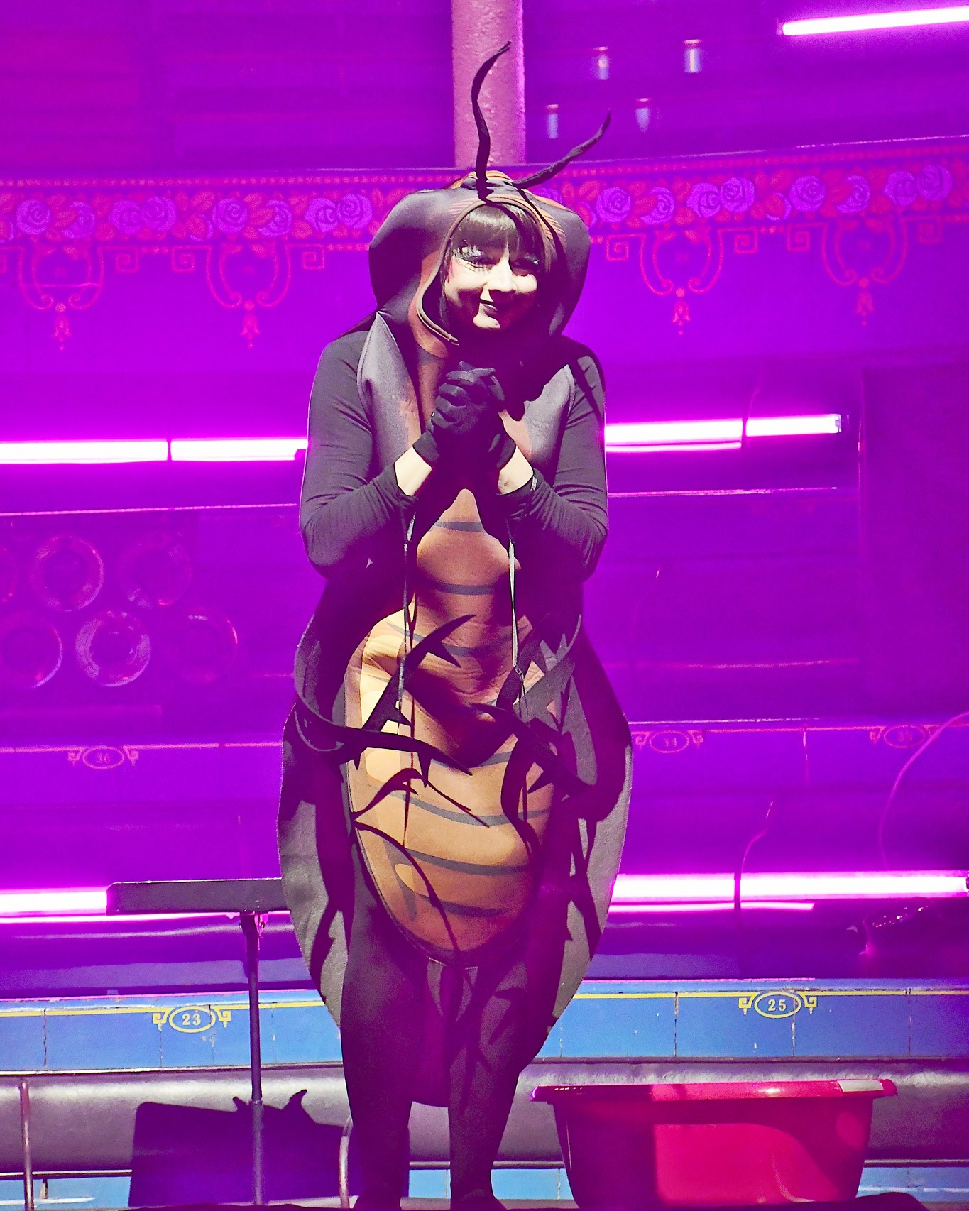 Trio diabolique et mignonoux avec @angelemicaux et @lallamorte 🪳🪳🪳au @manegedereims avec @labarbichette.cabaret 🧡💜💛
📷 @monsieur.gac
#kabaret #cabaret #cabaretshow #chansonfrancaise #cafard