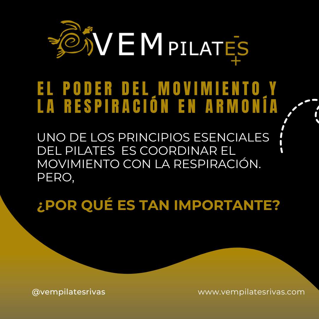 🌿 El arte de moverse respirando
RECUERDA: la respiración es la música silenciosa que acompaña cada uno de tus movimientos.
Moverte respirando de forma consciente, no solo transforma tu entrenamiento, sino también la forma en la que habitas tu cuerpo cada día.
En VEMPILATES te invitamos a experimentar esta conexión en cada sesión.
Respira, muévete y descubre la mejor versión de ti
#VEMPILATES#reformerpilates #PilatesParaTodos #PilatesConMáquinas #PilatesReformer #PróximaApertura #PilatesLovers #PilatesWorkout #PilatesMovement #RivasVaciamadrid #PilatesRivas #PilatesConAlma #TuEstudioDeConfianza #PilatesFuncional #PilatesTraining #PilatesConAparatos #PilatesTime