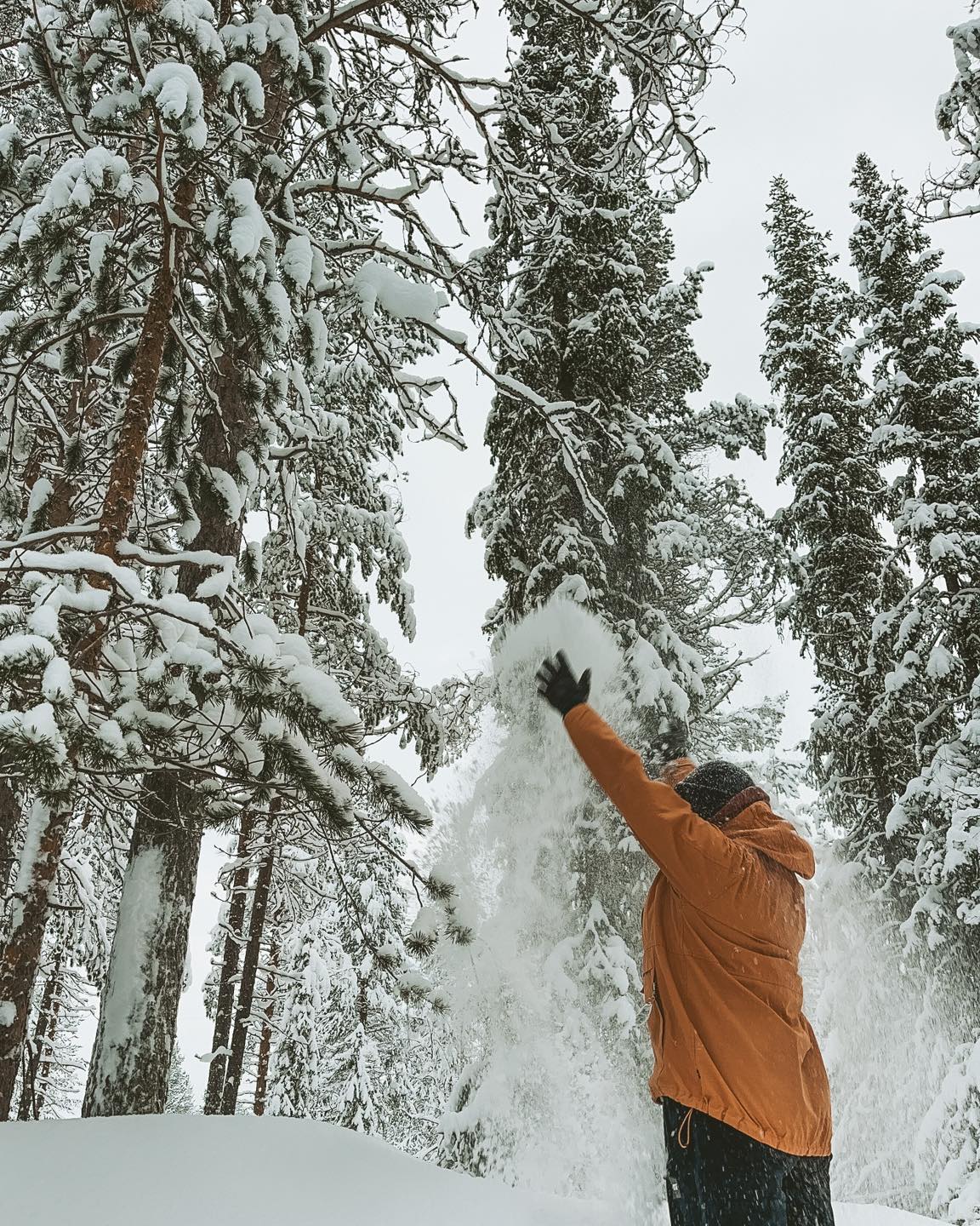 Tammikuun viimeisiä päiviä ja vihdoin saatiin vähän enemmän ihanaa pehmeää valkoista kultaa, LUNTA! ❄️
Ihanaa viikonloppua kaikille. Ulkoilkaa ja nauttikaa raikkaasta ulkoilmasta. Jos olette Ylläksellä niin tervetuloa meille!
🇬🇧 The last days of January, and we finally got some more of that wonderful, soft white gold—SNOW! ❄️
Wishing everyone a lovely weekend! Get outside and enjoy the fresh air. If you’re in Ylläs, you’re welcome to visit us!
#sisuoutdoor #WinterWonderland #FreshSnow #SnowMagic #EnjoyTheOutdoors #visityllas #Lapland #LetItSnow #WeekendVibes #PureNature #WinterAdventures