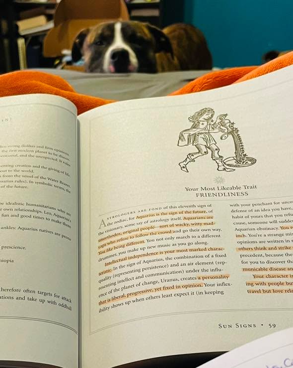 I’ve been studying astrology and every once in a while, I get this uncanny feeling as if I’m being watched…
#astrology #astrologyposts #AstrologyVibes #studying #puppystagram