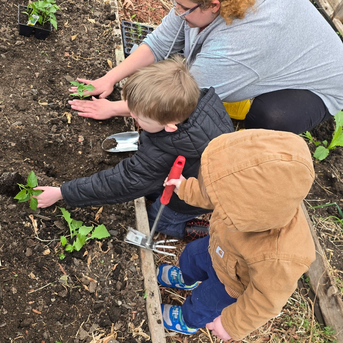🌼 Up Close with Our Garden Beds! 🧤✨
Over the weekend, our little gardeners planted all kinds of goodies, each one chosen for color, taste, or the joy of seeing it grow.
We even saw some lettuce and mustard from last season popping back up in the greenhouse 💪💚
Special thanks again to our partners at @scchildcarecouncil and @ccecornell for supporting our garden with kid-sized tools, composters, ollas, and still more to come! #GrantsInAction
#TheValleyFellowship #RootsAndBoots #WhatWePlanted #GardenLearning #NatureInEarlyChildhood #EarlyEdGarden #SullivanCountyKids #CreatingHealthySchools