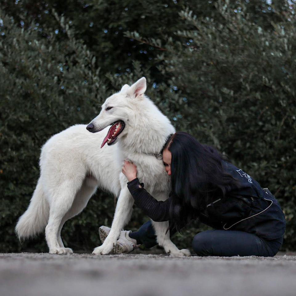 Niin vauhdikasta koiranpĂ€ivÀÀ ettĂ€ pĂ€ivityskin on melkein myöhĂ€ssĂ€ â€ïž
TÀssÀ meidÀn jengin maailman rakkaimpia haukkuja, joita sitten työpÀivÀn loputtua palvellaan loppuilta!
Muistakaa tarjota tĂ€nÀÀn kaikille koirille extra rakkautta đ
Innolla odotamme uutisia saako Kangasalan tĂ€mĂ€npĂ€ivĂ€inen asiakas puserrettua lĂ€jĂ€n uusia pieniĂ€ rakkaita vielĂ€ tĂ€mĂ€n illan aikana â€ïž