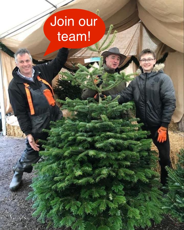Silly season is fast approaching! We are recruiting for our weekend Christmas Tree sales team, short term positions available from the end of November until mid December🎄
If you possess great strength, have a love for spending time outdoors & are happy to receive the occasional hug from a wet fir tree, we'd love to hear from you!! No previous experience required. A good level of fitness, a love for Christmas and warm, fun & outgoing character is all we need. Drop us an email with you details and we'll be in touch.
info@strattonaudleybarn.co.uk