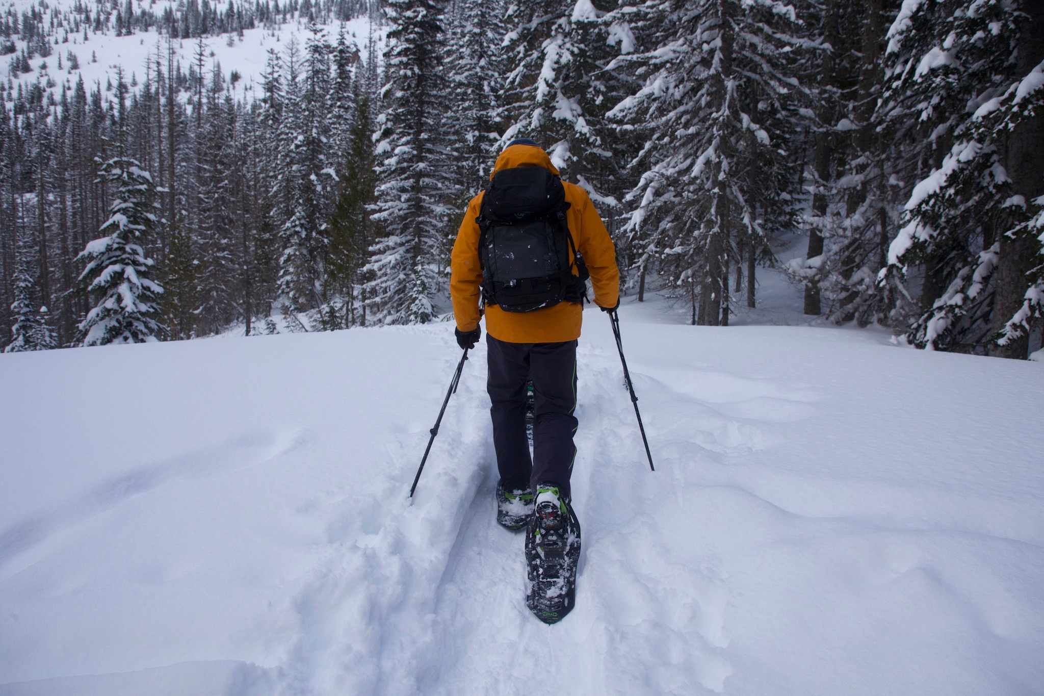 We have SNOW! And just in time for some great local events.
Stomp The Snow - Saturday, January 20th, starting at 4:00pm at Pine Grove Country Club
Shiver Me Timberstones Fat Bike / Snowshoe Race - January 27th, at TimberStone Golf Course + Pine Mountain Ski & Golf Resort
❄❄ 20% off all snowshoes ❄❄
Now through January 27th