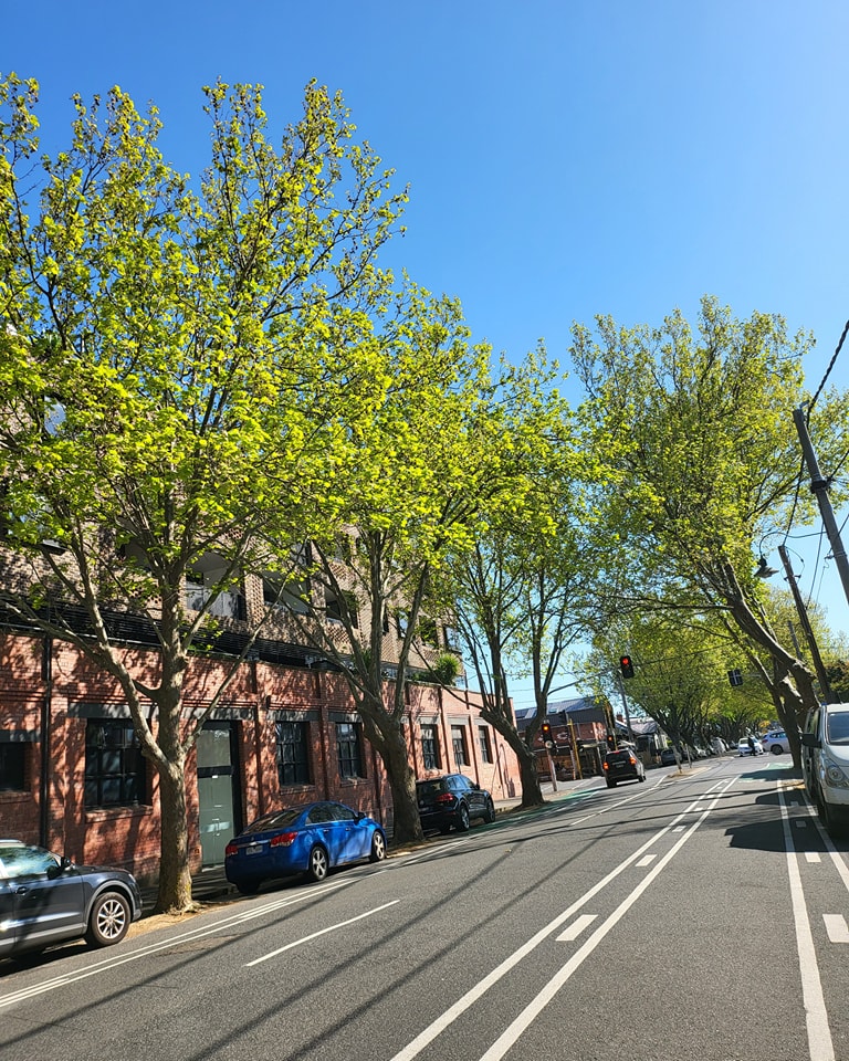 Perfect mid week weather for a test ride!
Roll in before the rain comes back and be organised for the long weekend next week!