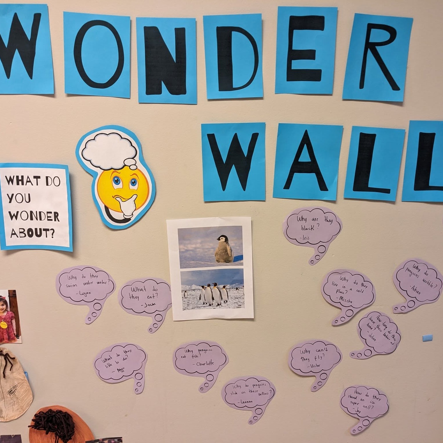 What do you wonder about penguins?