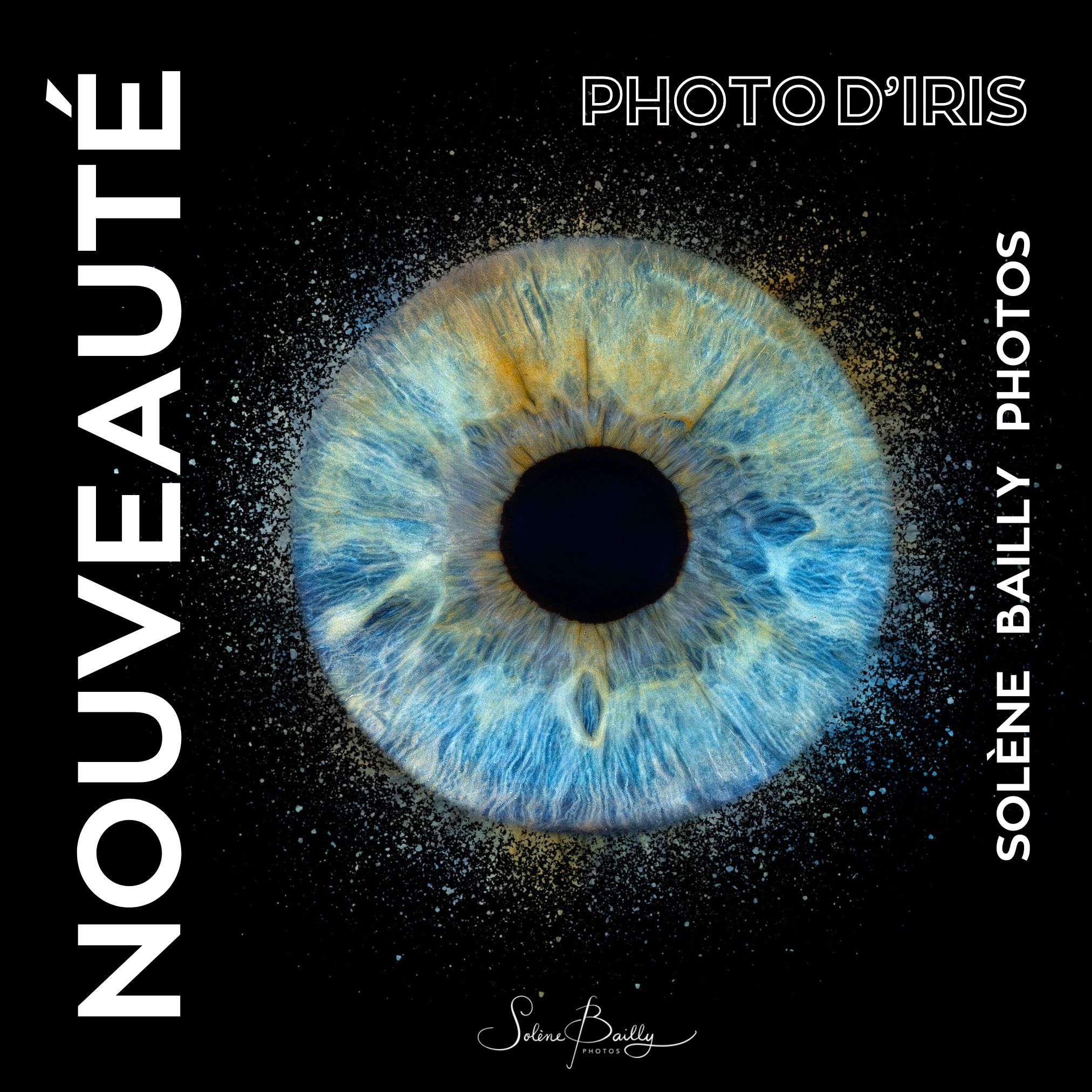 Qui ne l'a pas encore fait ? 🙃
Nouveauté 2025 dans la liste des prestations proposées. Format numérique ou en impression, 1 ou plusieurs iris, avec ou sans effets...
N'hésitez pas à me contacter pour plus d'informations.
.
.
.
#nouveauté #nouveauté2025 #photodiris #photoiris #Iris #iris #irisphotography #irisphoto #irisphotos #idéecadeau