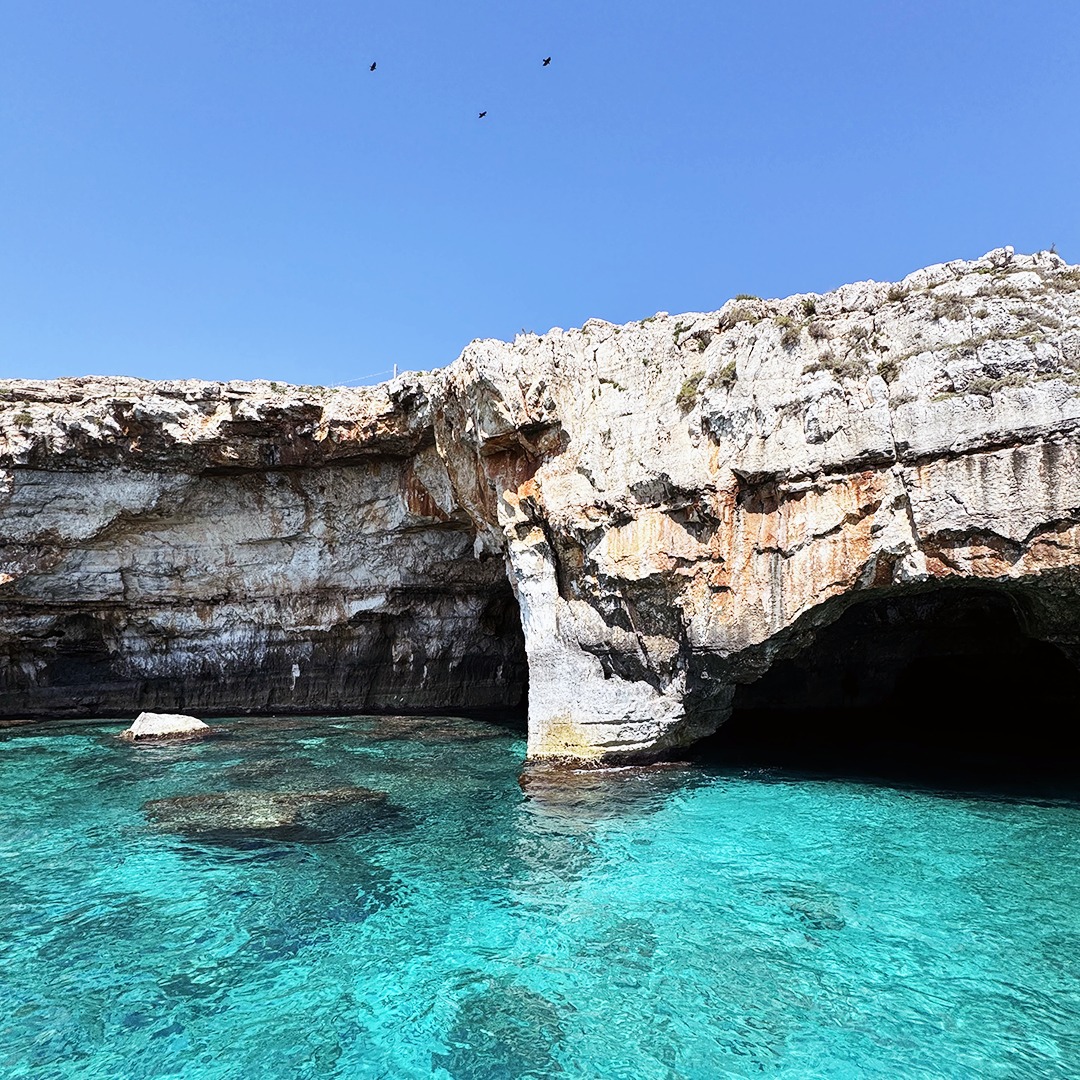 🌊 Alla scoperta delle meravigliose grotte di Leuca! ✨
Lungo la nostra costa troverai davanti a te uno spettacolo naturale unico: le grotte di Leuca che caratterizzano i versanti ionico e adriatico!🏞️
Riconosci queste in foto?
✍🏼 Faccelo sapere nei commenti e seguici per scoprire più dettagli sulle meraviglie che potrai incontrtare con i nostri tour!😎
•
•
•
#AlexanderLeuca #GrotteDiLeuca #SalentoBoatTour #SantaMariaDiLeuca #ViviIlSalento #ScopriLeuca #VacanzeInSalento #MareCristallino #TourInBarca #CavesEscursion