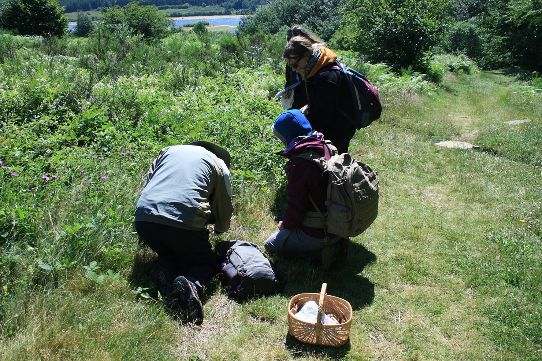 Le calendrier des activités 2024/2025 est désormais en ligne sur le site
www.naturecomestible.fr
Les inscriptions sont ouvertes :)
On se voit après les vacances?
#stageplantesauvage #herboristeriefamililale #herbaliste #cuisine #plantesmédicinales