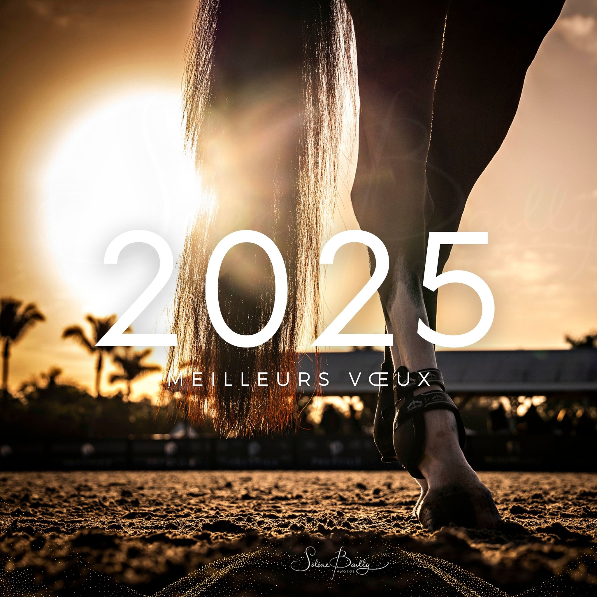 Je vous souhaite à tous une excellente année 2025 ! Prenez soin de vous et de vos proches 💞
.
.
.
#bonneannee #bonnesfetes #bonneannée #bonneannée2025 #2025 #meilleursvoeux #happynewyear #happynewyear2025