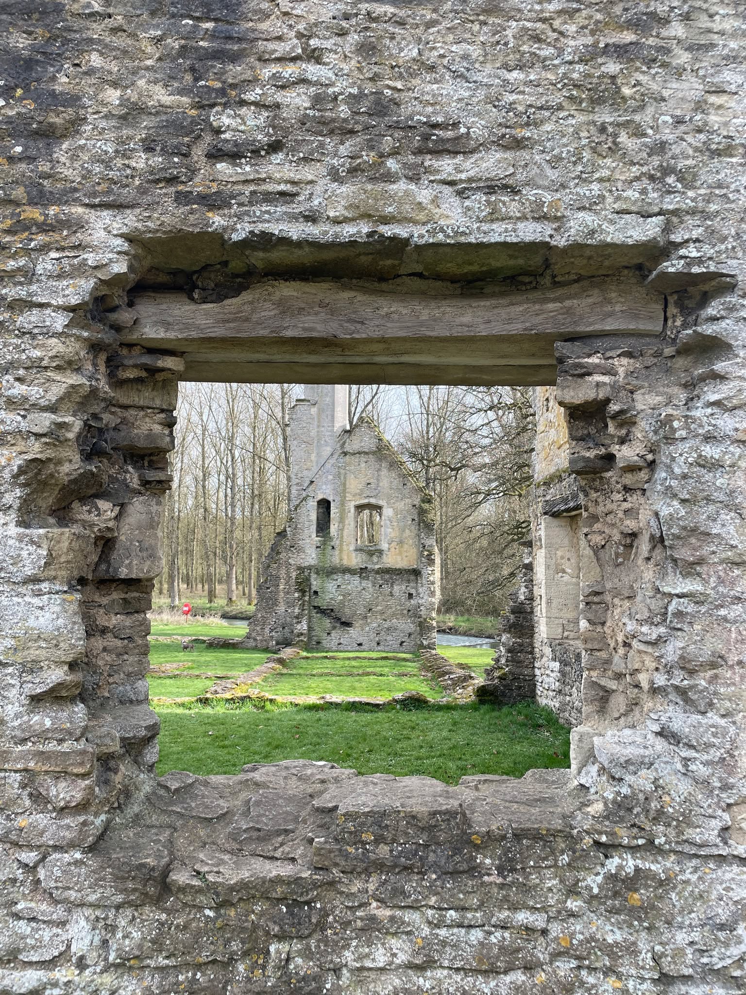 Visit Minster Lovell Hall and travel back to the 1450s. This atmospheric site gives such a sense of grand medieval life. Always a highlight on my tours.
DM to book a top tour.
#offbeatcotswolds #bluebadgeguide #bluebadgeguides
#britainsbestguides #Cotswolds #thecotswolds
#inthecotswolds #cotswoldcountry #Cotswolds_Culture #lovethecotswolds
#minsterlovellhall
#discoverthecotswolds #visitthecotswolds #discovercotswolds #cotswoldslife #cotswoldlife #thecotswolds
#your_cotswolds
#cotswolds #thecotswolds #cotswoldvillage #visitengland #englishvillage
#englishcountryside
#explore_britain_ #traveling_uk
#photosofengland #instabritain #europetravel