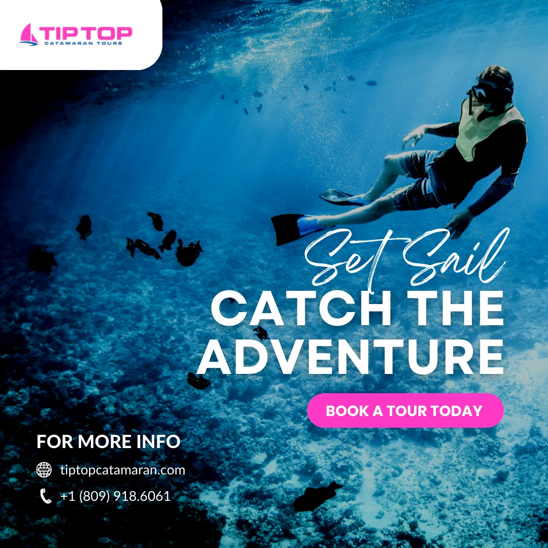 Adventure is out there—are you ready to catch it? 🌊🚤
With Tip Top Catamaran, every sail is a new story waiting to be written. 🌅
From breathtaking views to thrilling ocean escapes, your next great adventure is just a booking away. Don't wait—set sail and let the excitement begin today! 🌞
#setsail #catchtheadventure #tiptopcatamaran #booknow #oceanjourney #sailinglife #caribbeanadventure #adventuretime #exploremore #seasthaday #sailaway