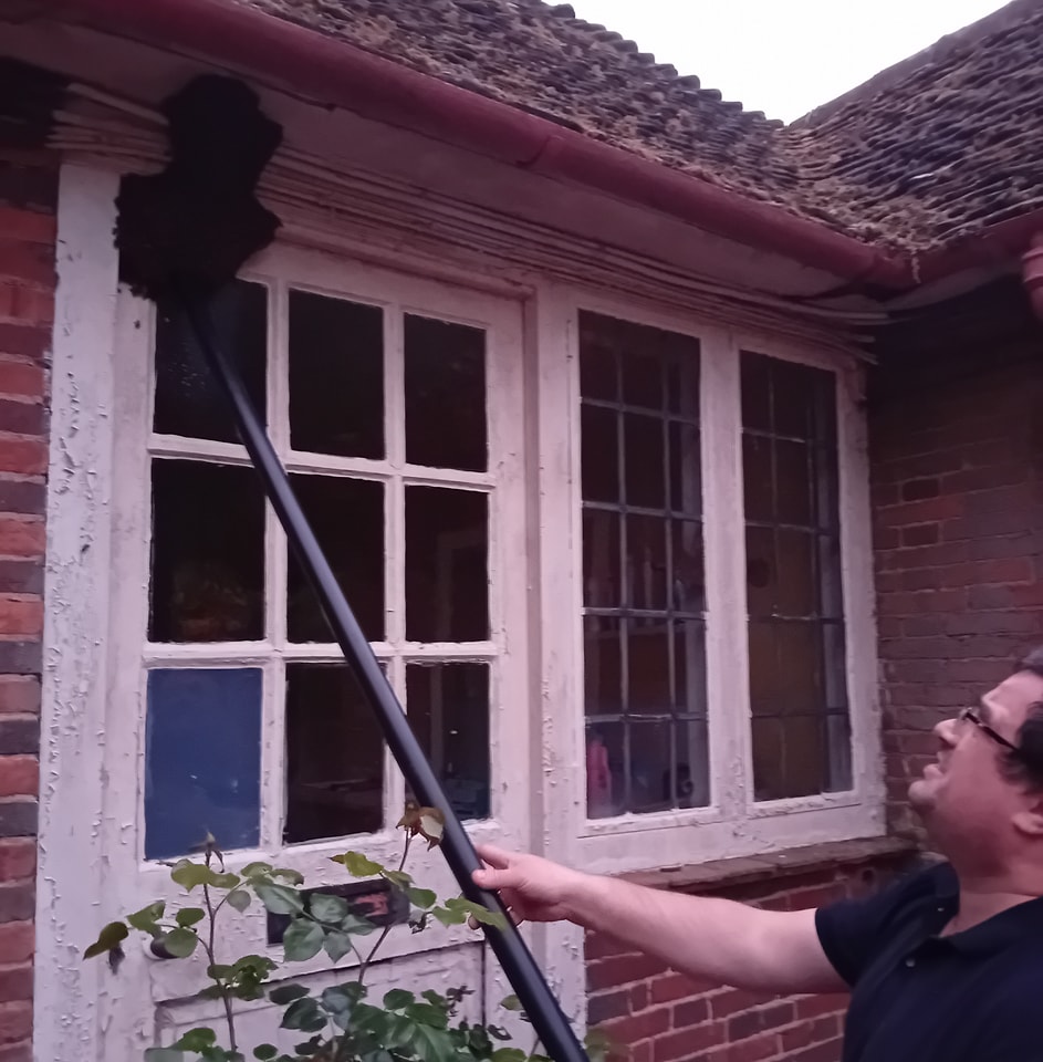 This was a nice swarm collection from yesterday. The tube is from my beevac.