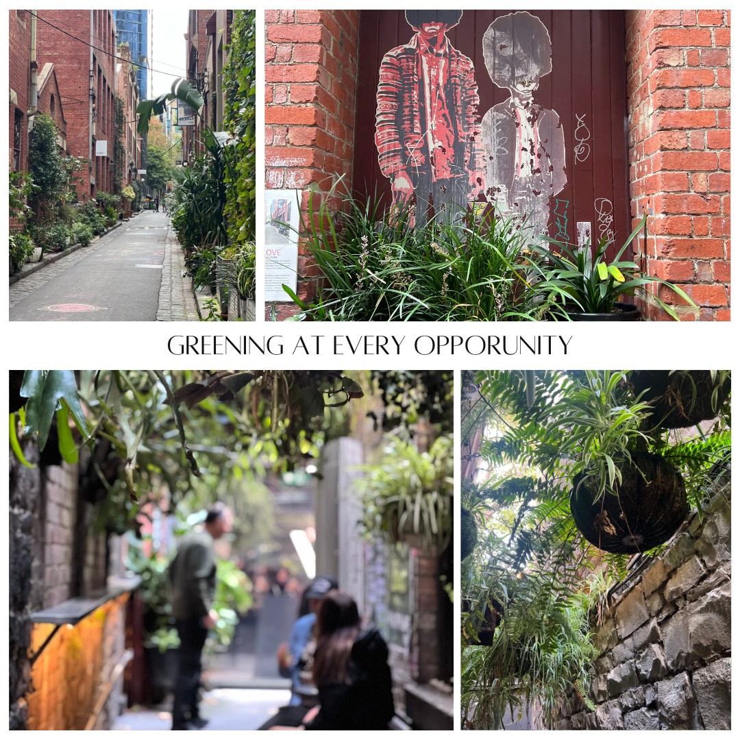I love how every opportunity has been taken to sneak plants and greenery into the fabric of the city. #melbournecity #greeningthecity #melbournelaneways