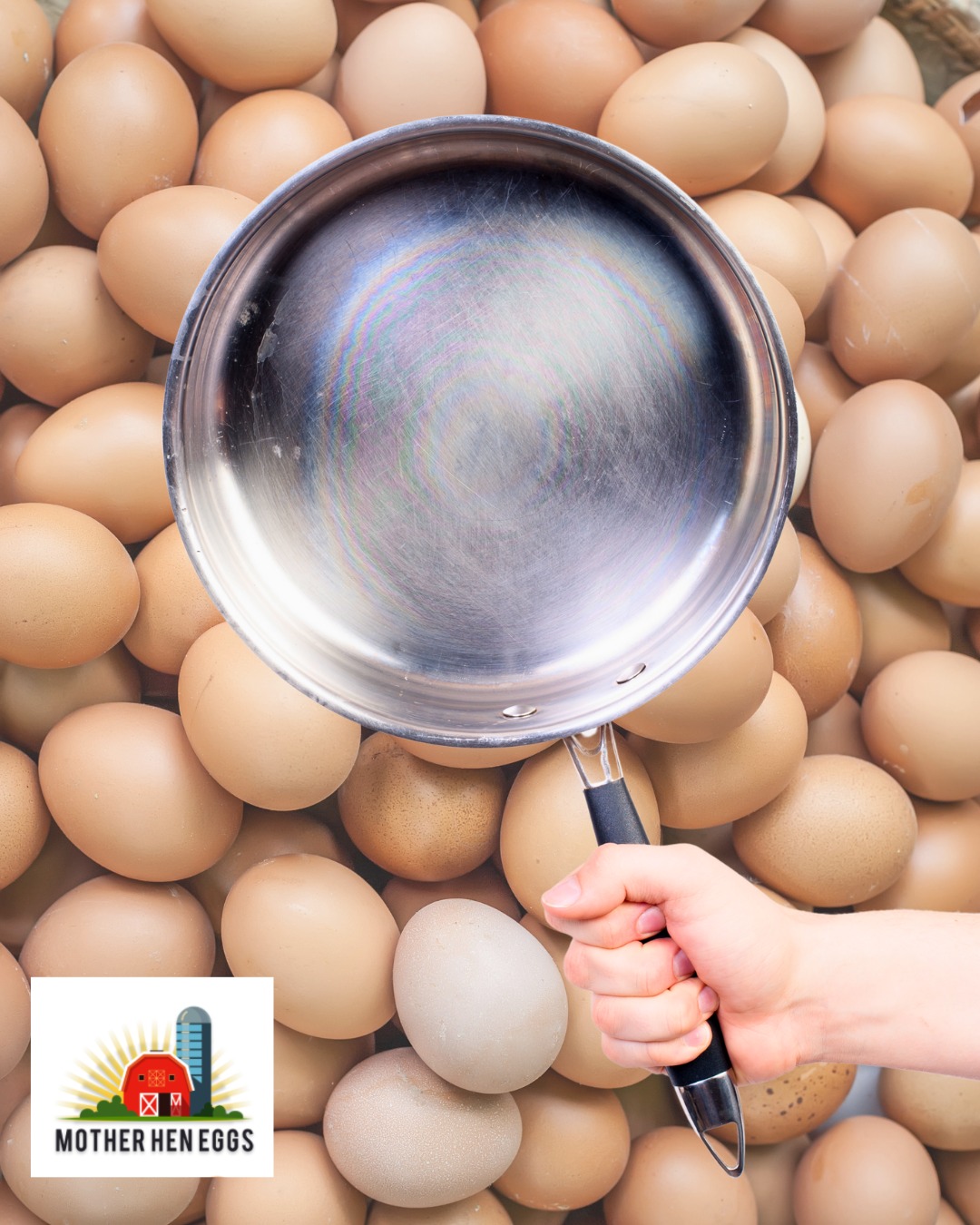Switched to stainless steel and now your eggs are a disaster? Here’s how to fix it!
Stainless steel pans are brilliant. They last forever, they’re better for your health, and they don’t have any of the harmful chemicals you get in non-stick coatings. But let’s be honest… they can be an absolute nightmare for cooking eggs...
Here’s how to get them right every time:
🍳 Preheat your pan properly, if it’s too cold, your eggs will stick. Too hot and they’ll burn. Medium-low heat is the sweet spot. If you're using butter, it should sizzle gently when it melts but not burn straight away. It might take a little trial and error!
🥚 Add oil or butter and coat the pan well, make sure the surface is evenly covered
👨🍳 Crack or pour in your whisked eggs and leave them alone for a few seconds. This is especially important for scrambled eggs, giving them a moment before stirring helps stop them sticking
🔄 Fried eggs? Once the whites are set, give the pan a little shake. If the egg moves freely, you're all good to flip (or leave it sunny-side up)
🥄 Omelettes and scrambled eggs? Stir gently and keep things moving so nothing sticks to the bottom
If you’ve been struggling to get eggs right in stainless steel, give this a go. And if you’ve already nailed it, got any tips of your own? Let us know in the comments! 👇