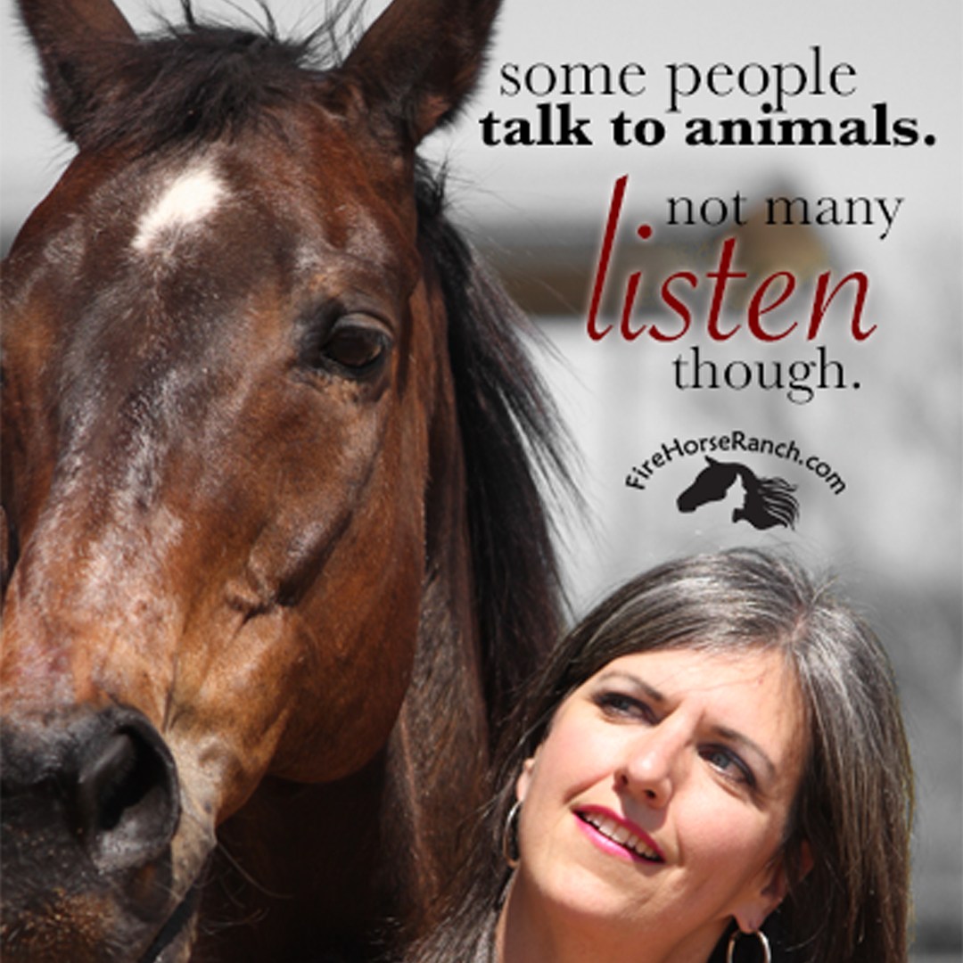 A message from a past student...
“This was a wonderful experience! It not only gave me tools to communicate with animals, but also opened my heart to an increased awareness of the beauty that is all around us. I can’t recommend this class enough—it will do so much for all areas of your life.”
— Nancy Ianelli
Animal communication isn’t just about “talking” to animals. It’s about opening your heart, tuning in, and seeing the world in a whole new way.
Come experience it for yourself.
The course starts May 28th!
Includes a mix of live calls and video, a digital workbook, and a private 1:1 coaching session!
Learn more at: https://www.dianagogan.com/animal-communication-class
#AnimalWhisperer #HeartToHeart #AnimalCommunicationCourse #DianaGoganCoaching #TalkToAnimals