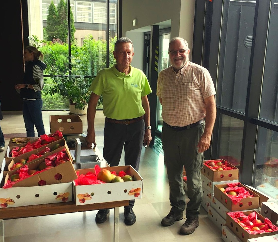 Merci à Martin et Daniel pour leur engagement hier à Schiltigheim. Grâce à leur mobilisation, plus de 125 kg de mangues solidaires ont été vendus 🥳
La saison des mangues solidaires approche de la fin pour cette année, profitez-en tant qu'il est encore temps! 🥭