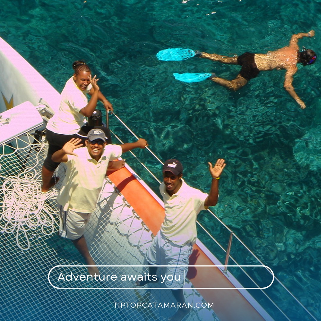Adventure is calling—are you ready to answer? 🌊🚤
At Tip Top Catamaran, every sail is more than just a ride; it’s a journey into the heart of excitement and discovery. 🌞 Don’t let this opportunity pass by—secure your spot today and let the adventure unfold! 🌴✨
Book now via the link in bio 🌸
#adventureawaits #tiptopcatamaran #sailinglife #caribbeanadventure #exploremore #oceanfun #sunseasand #seasthaday #goodvibesonly #islandescape #tropicalvibes