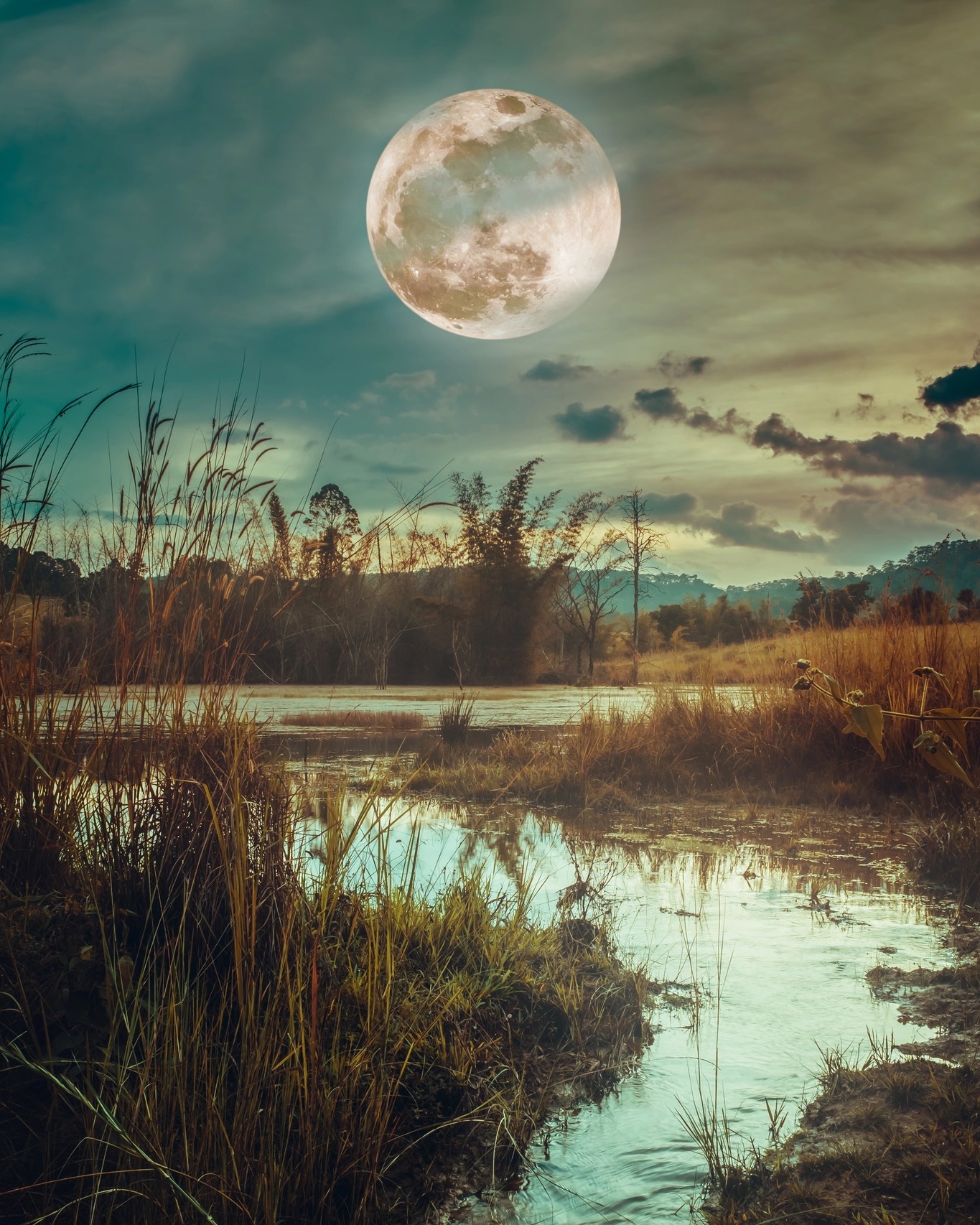 Behind The Hunter’s Daughter by Nicola Solvinic from @berkleypub
One of the major plot lines I created for the story was the Lyssa Variant DNA marker. In mythology, Lyssa was the goddess of rage. In creating this DNA marker, I wanted to highlight Anna’s feelings about being trapped by her (and her father’s) wrath. She’s grappling with the idea that biology might be destiny, and I wanted to create a tangible touchstone for that.
Now available: (link to purchase in bio)
#nicolasolvinic #thehuntersdaughter #mysteryauthor #crimeauthor #thrillerwriter #criminology #crimefiction #crimethriller #crimenovel #suspensenovel #thrillebook #murdermystery #mysteryreads #booklovers #bookclub #newrelease #bookreview #DNAmarker #Lyssa #goddessofrage