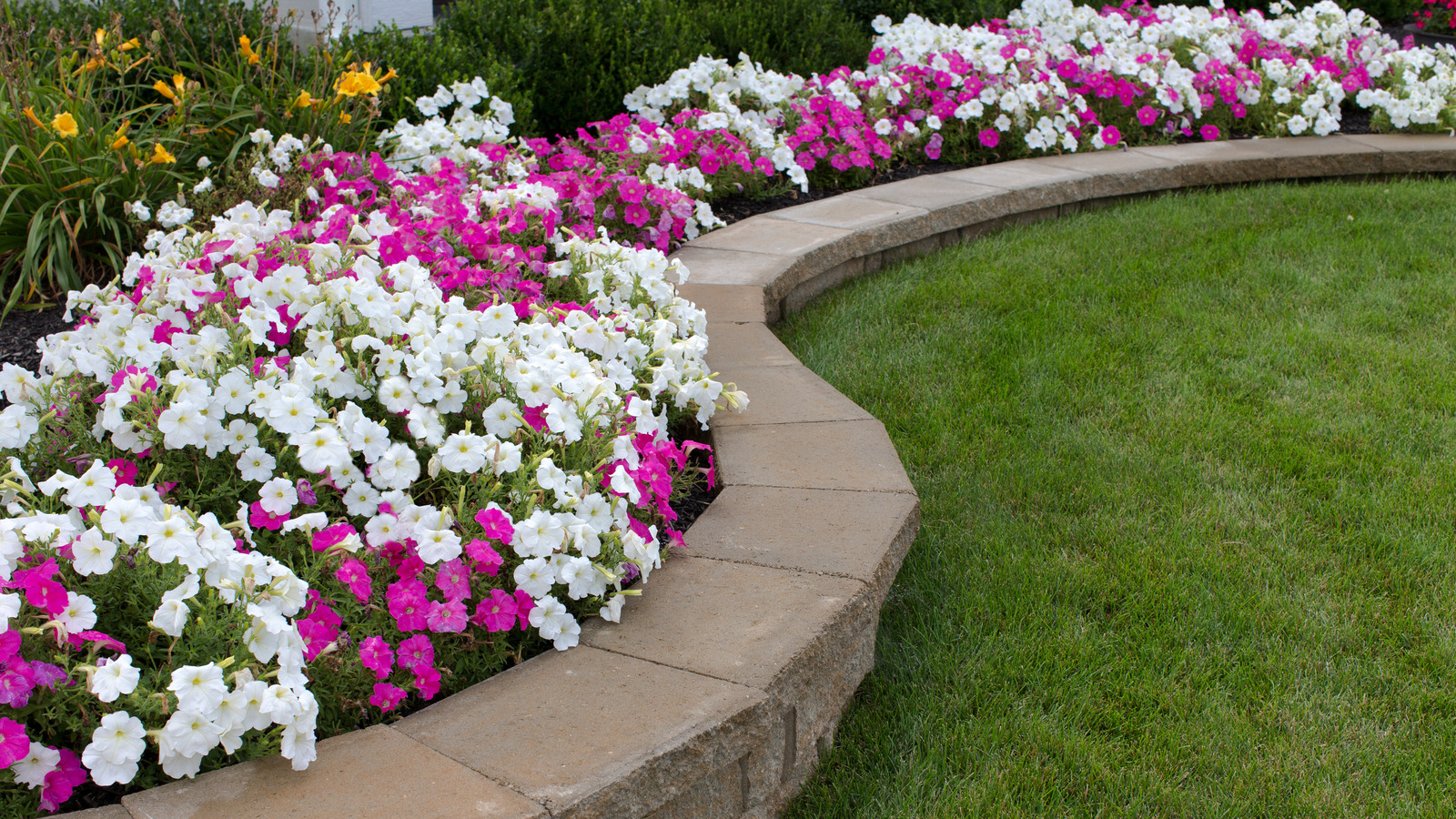 Tis the season for stone edging, raised beds, and new plant installs! Contact us today for your free consultation to get your landscaping back in shape!
#normanlawnllc #raisedbeds #landscape #hardscape #stoneedging #newflowers