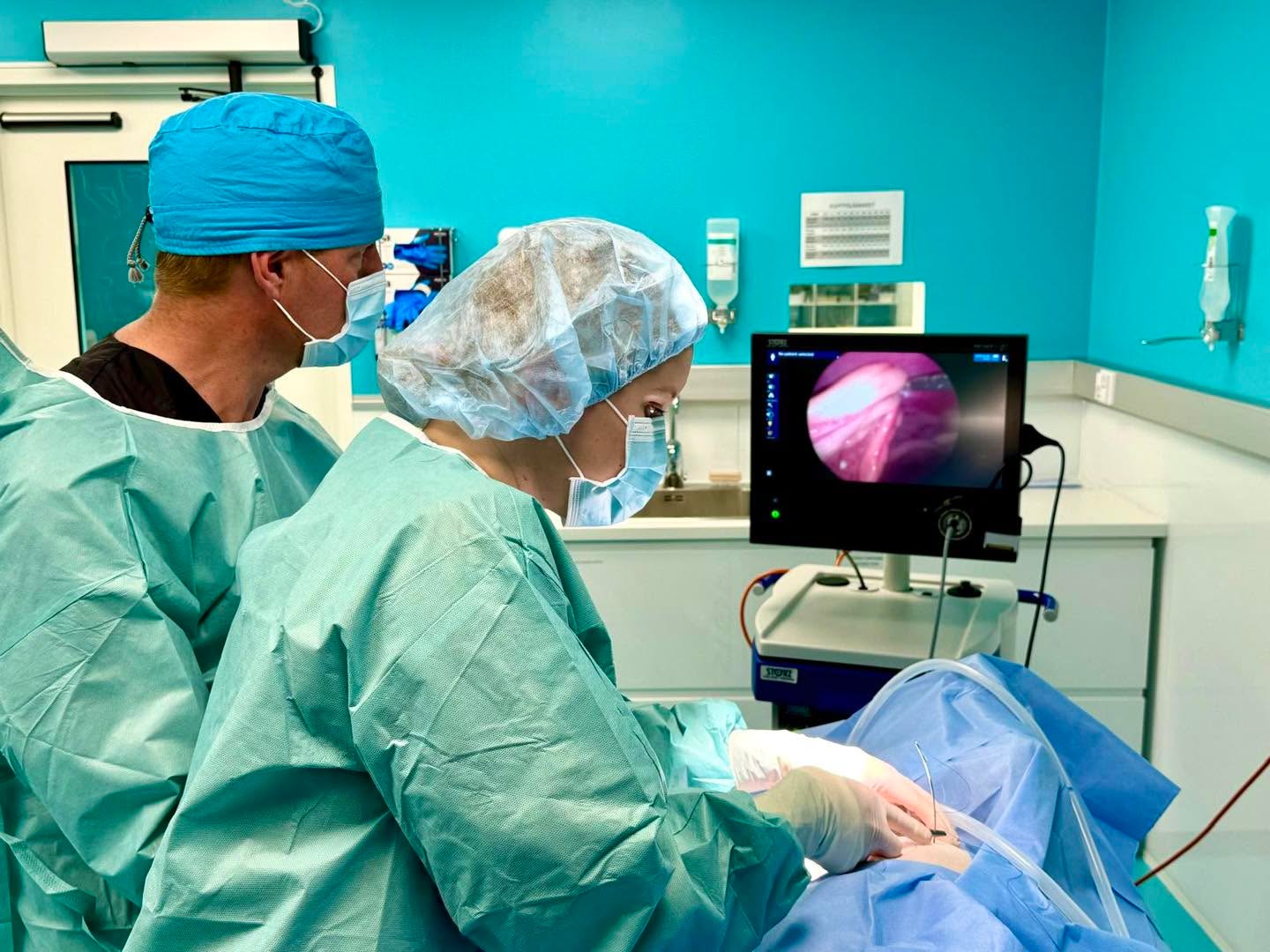 Lilllvetin historian ensimmĂ€inen tĂ€hystyssterilisaatio tehtiin tĂ€llĂ€ viikolla Tampereella menestyksekkÀÀsti! đ€©
Leikkaavina lÀÀkÀreinÀ toimi Linda Lammi sekÀ Jukka Lillstrang von Wendt.
Me ollaan niin super innoissaan tÀstÀ ettÀ skalpellit pois!
Tervetuloa tÀhystyssterilisaatioon vielÀ kampanja hinnoin 30.11.asti!