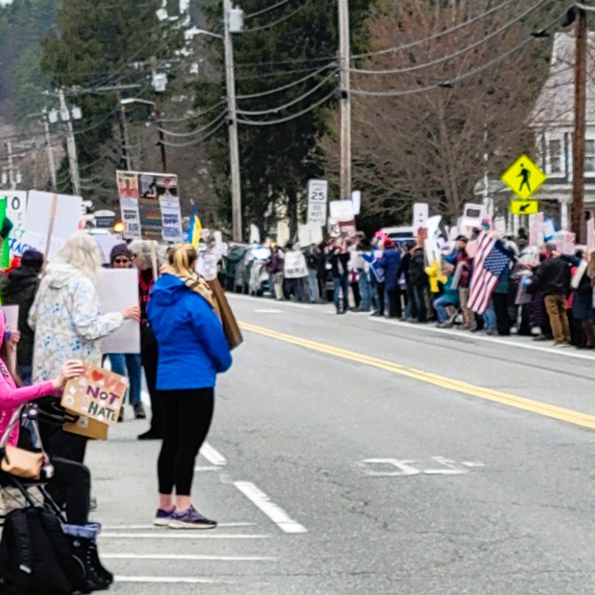 The sight I woke up to this morning here on Main Street right in front of Barron Rare Books! Hundreds of people waving signs, banners, and flags while lining both sides of the street. If this is the turnout for "Hands Off" in a tiny town in Vermont, I can only imagine what's going on in your city.